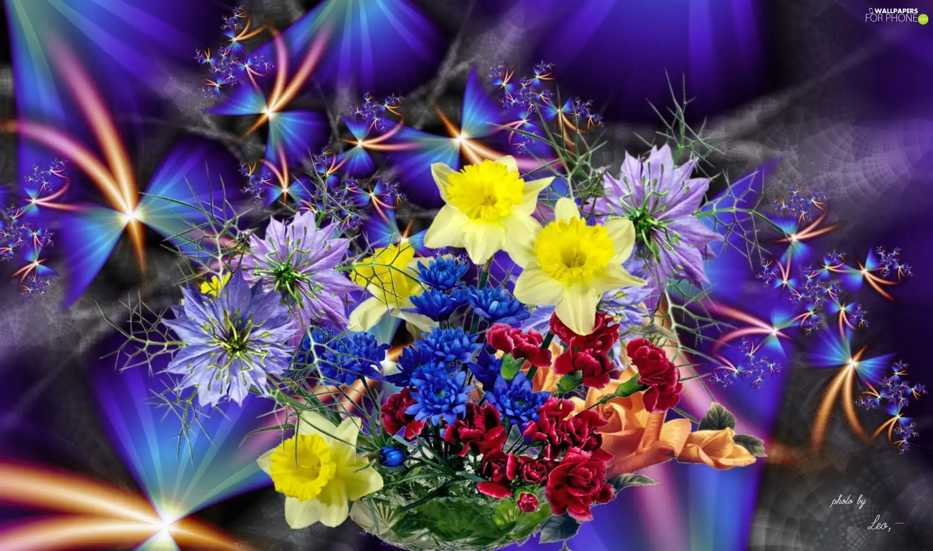 bouquet, color, purple, Flowers