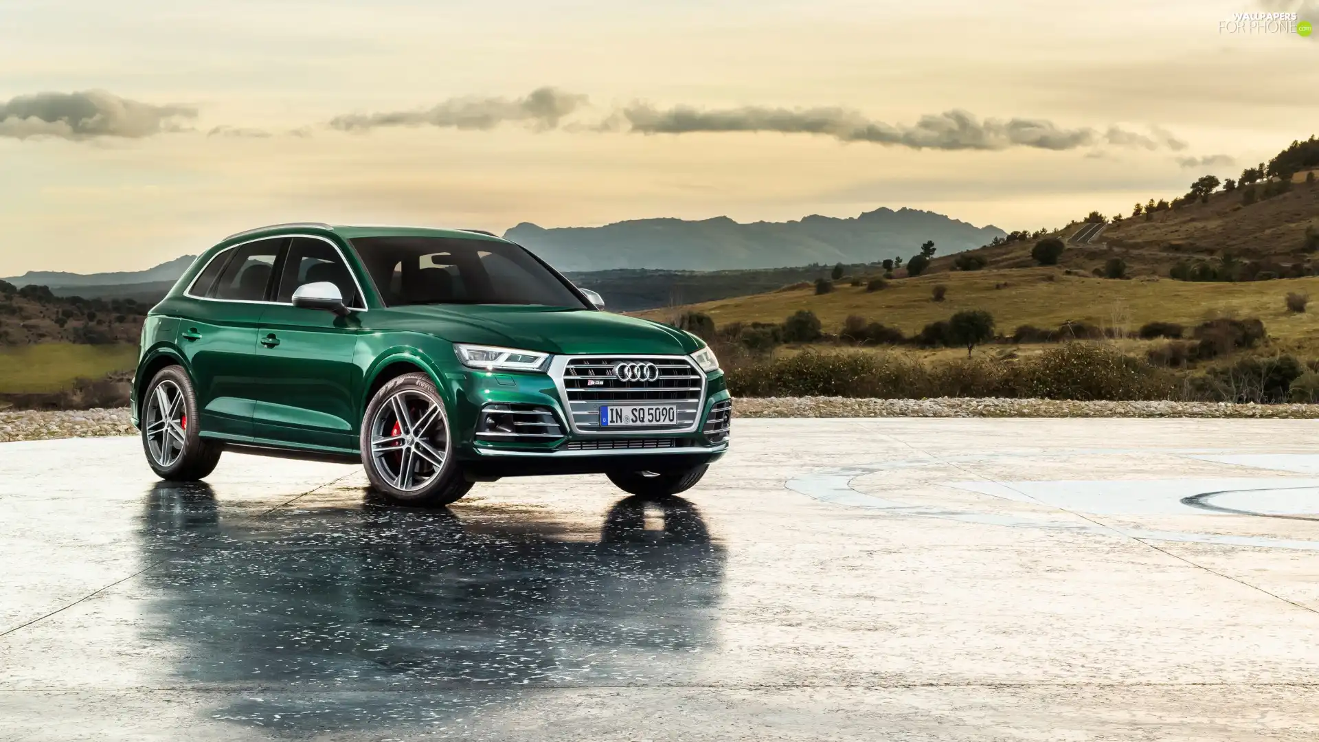 green ones, Audi Q5 TFSI Quattro
