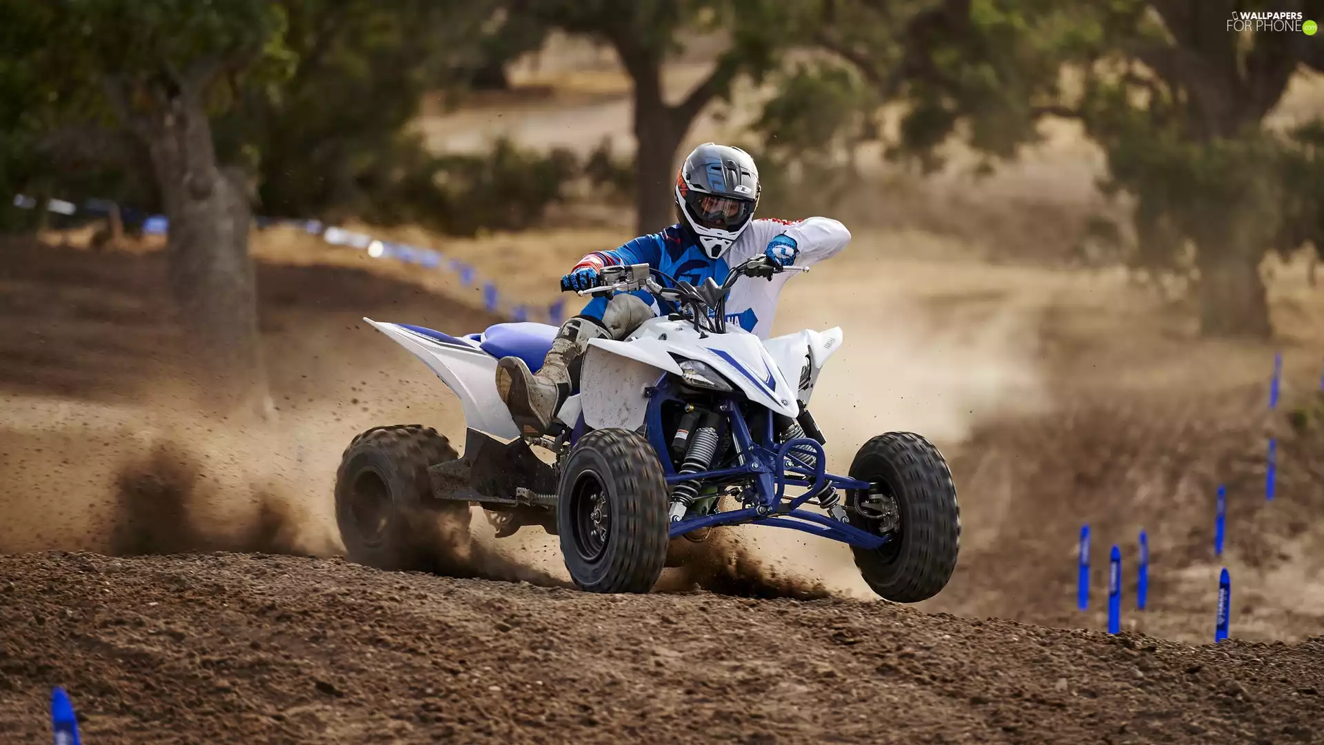 2016, quad, Yamaha YFZ 450R