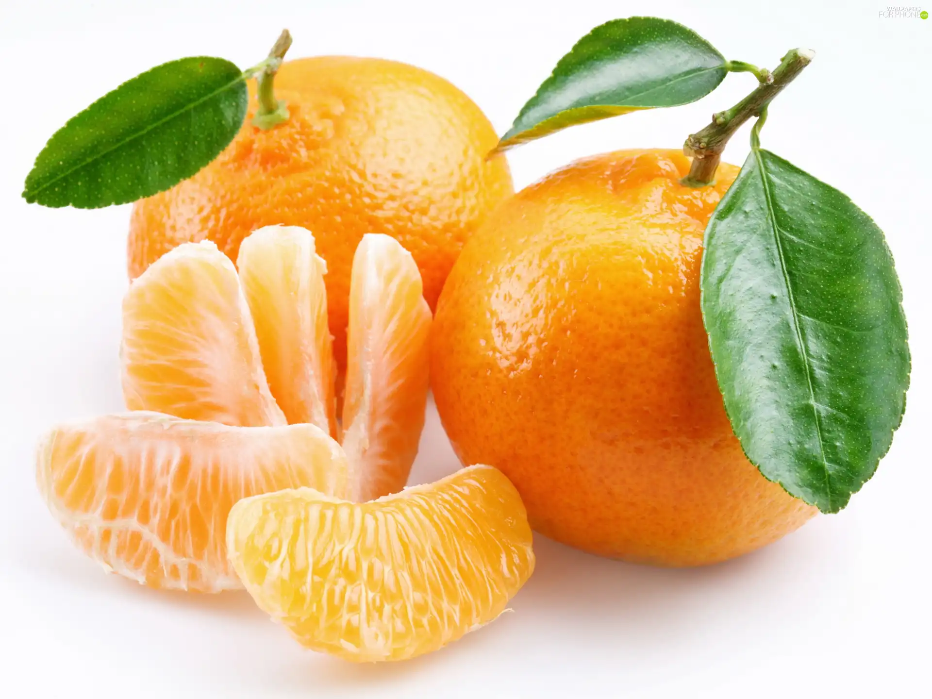 Quarters, Fruits, orange