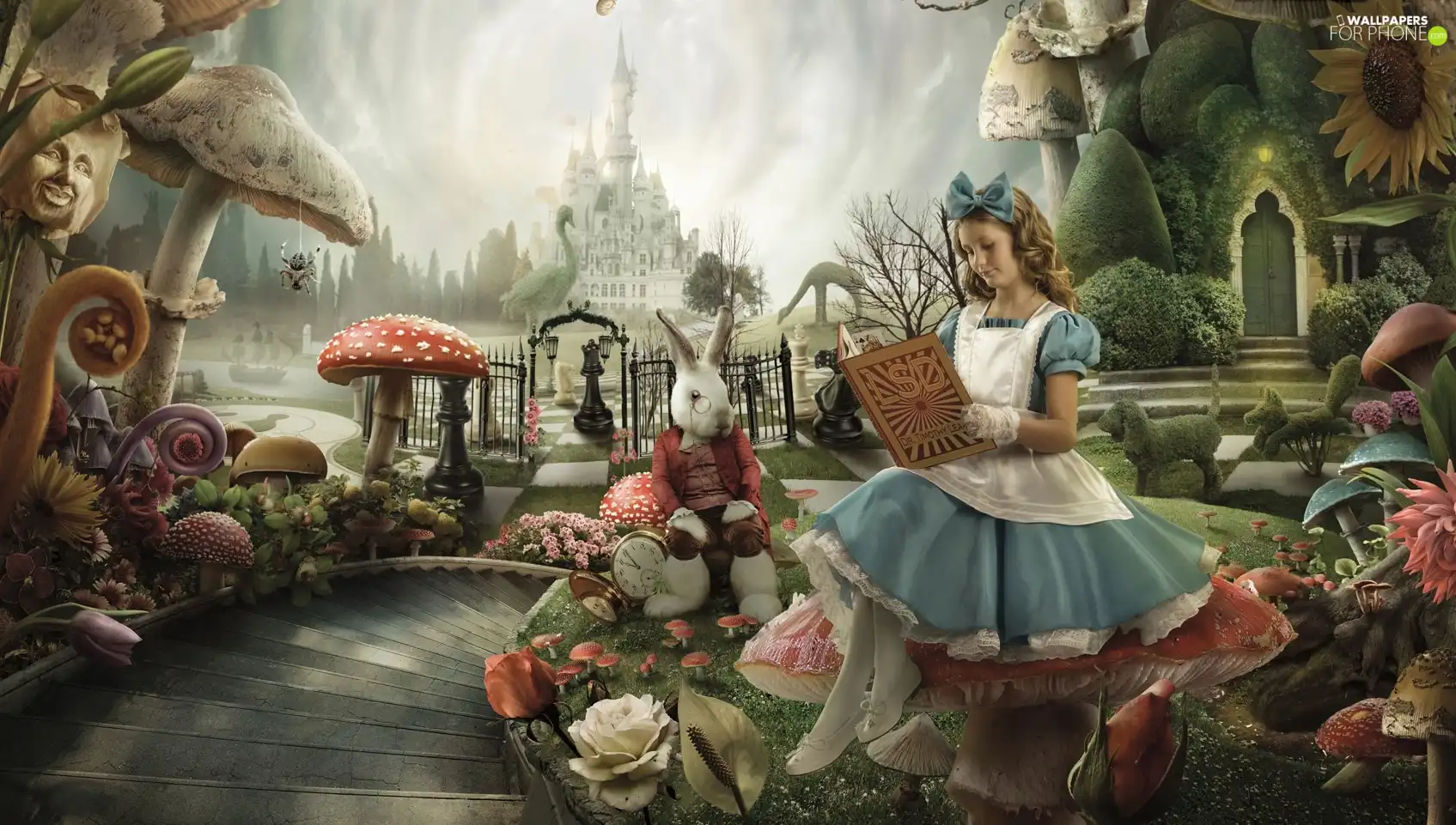 Alice In Wonderland, Rabbit