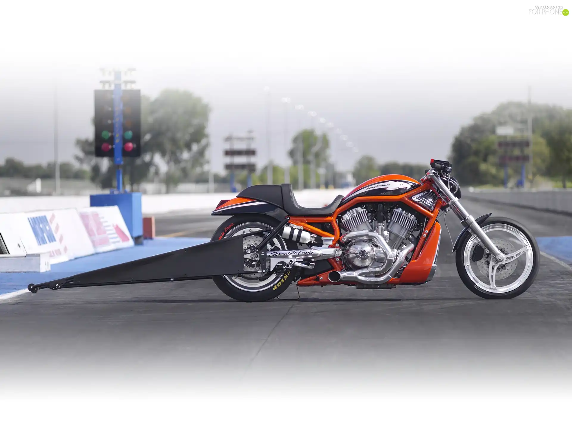 Race, Harley Davidson Screamin Eagle V-Rod, Drag