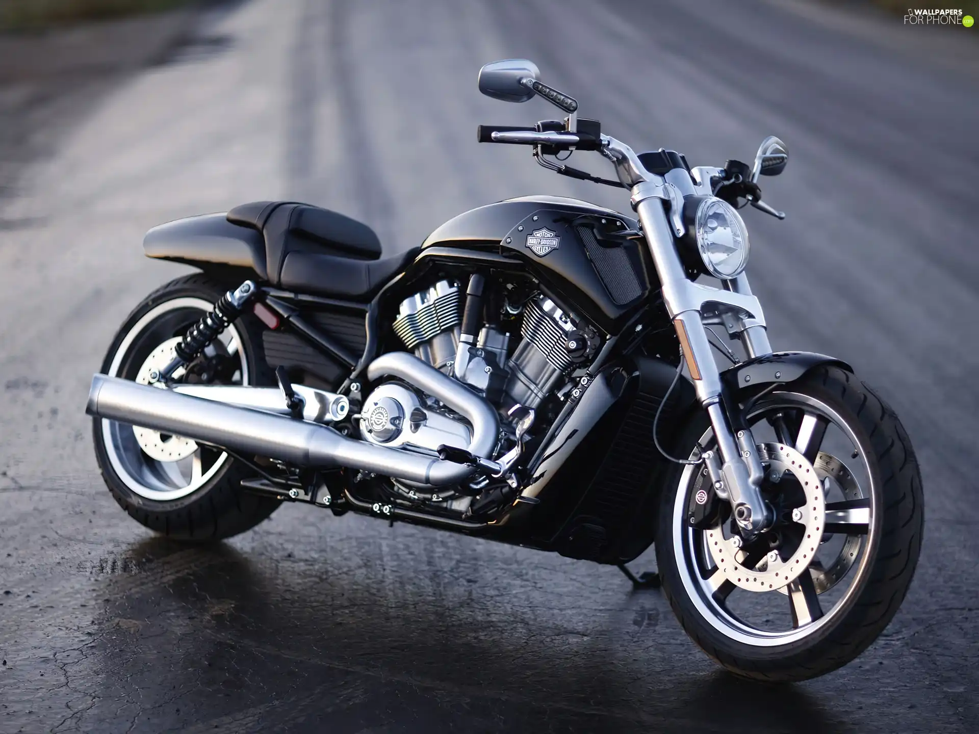 radiator, Harley Davidson V-Rod Muscle, massive