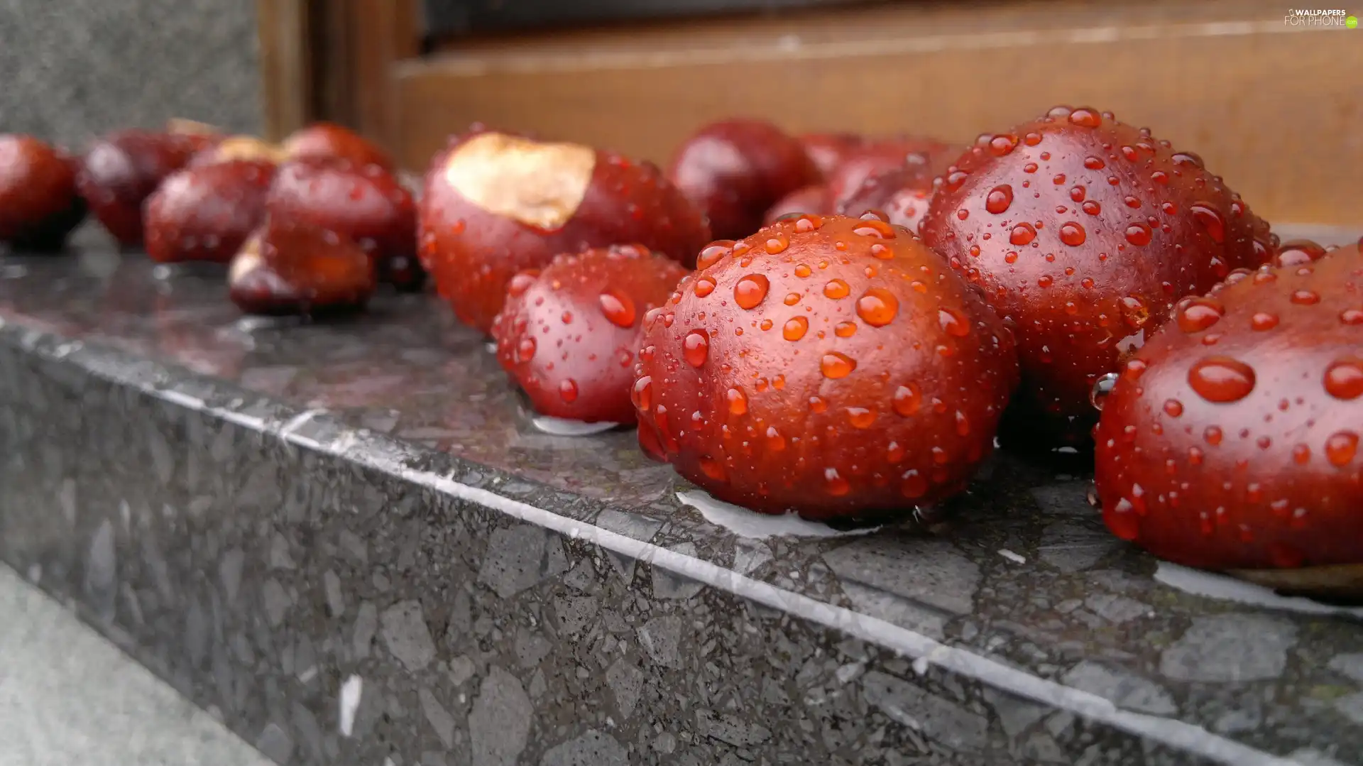 chestnuts, Rain