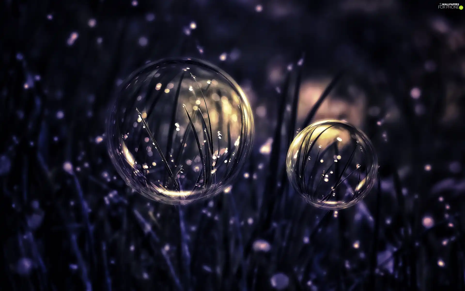 Rain, Close, grass, balloons, drops