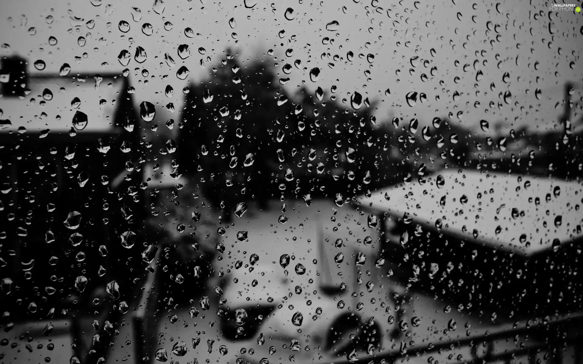 Rain, drops, Glass