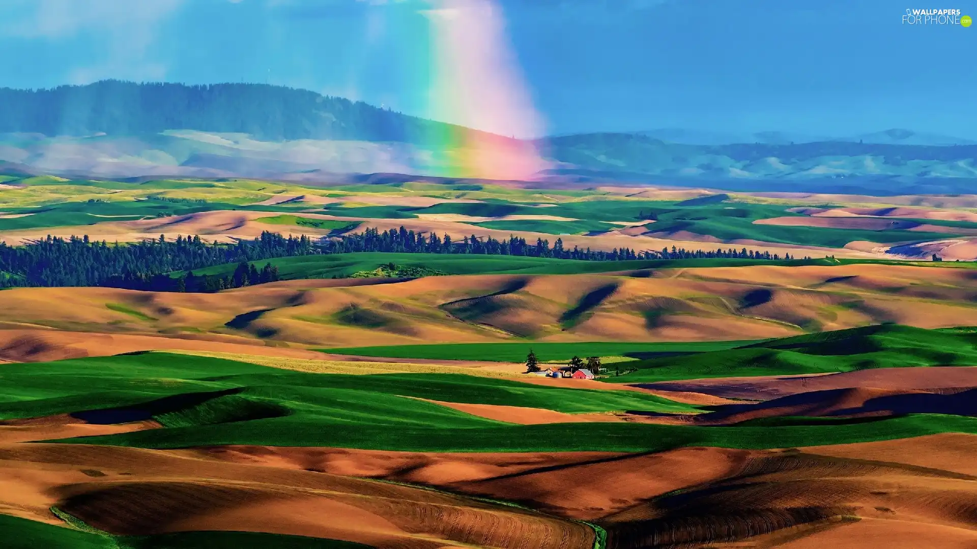 trees, Mountains, Great Rainbows, Palouse, viewes, Valley