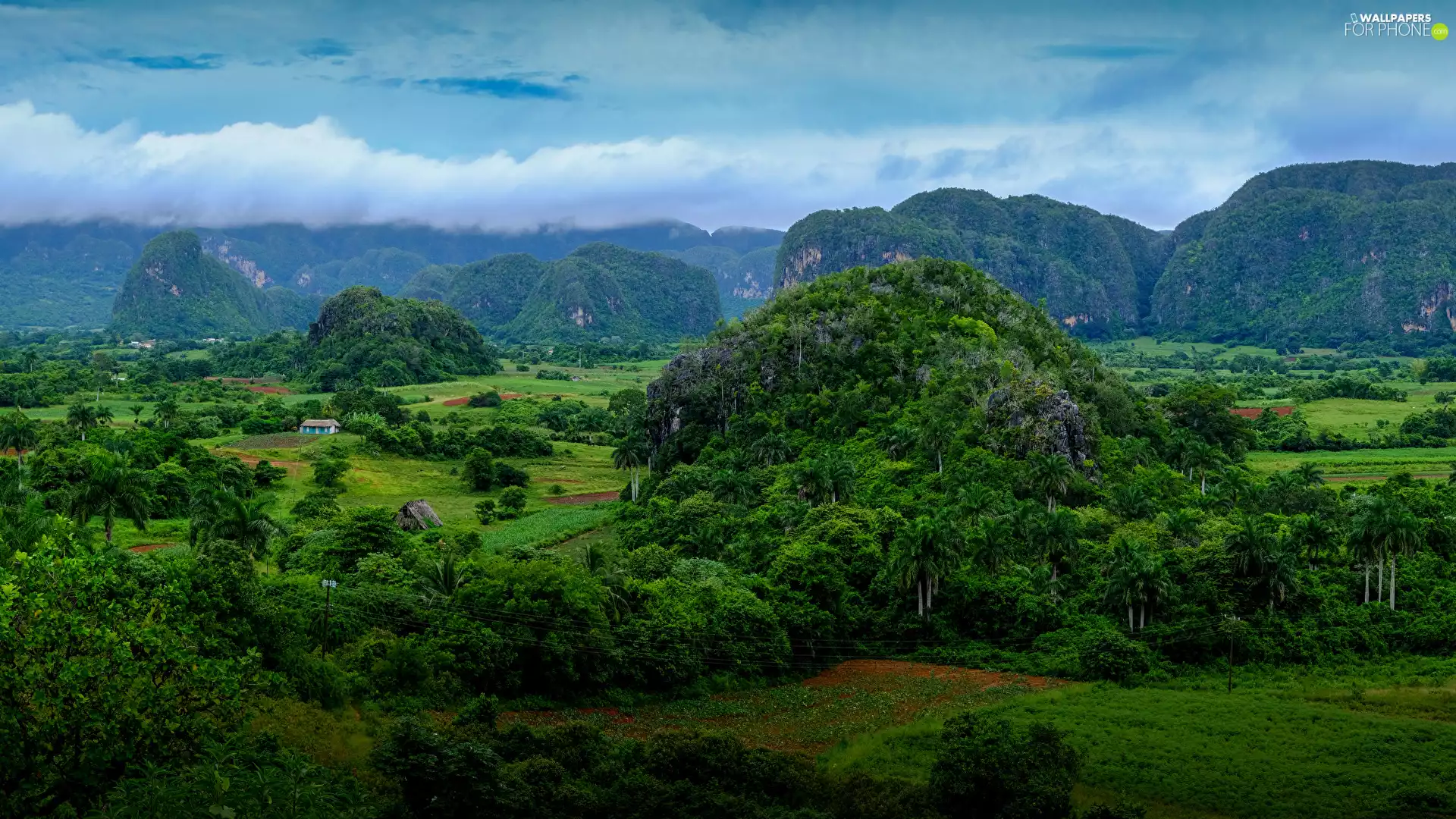The Hills, Sierra de los Organos Range, Pinar del Rio Province, Valle de Vinales Valley, Cuba