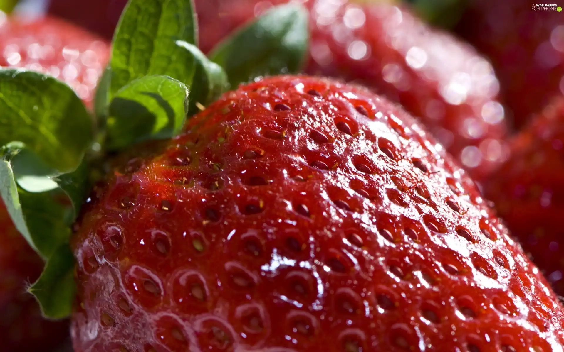 strawberries, rapprochement
