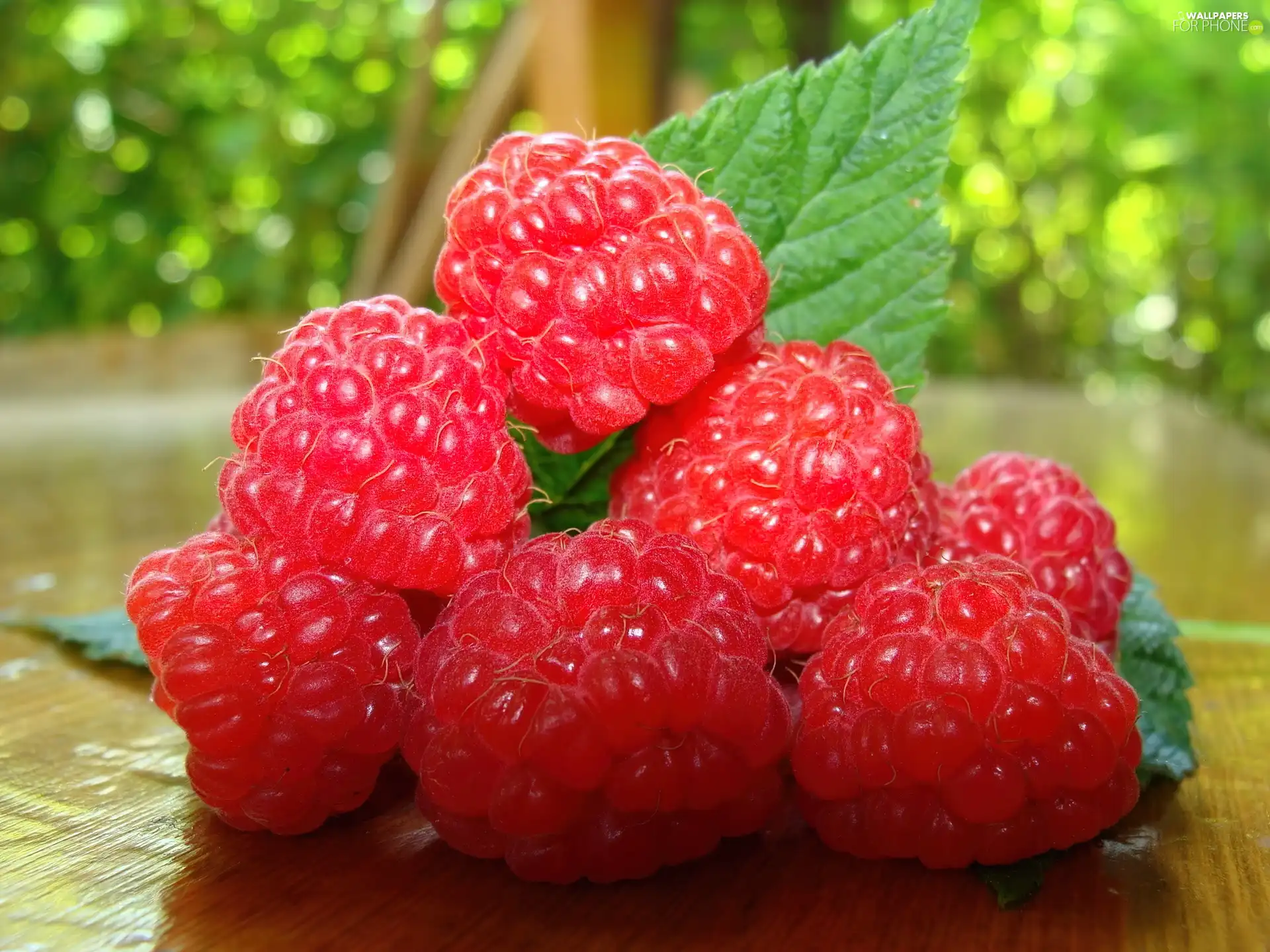 Raspberries