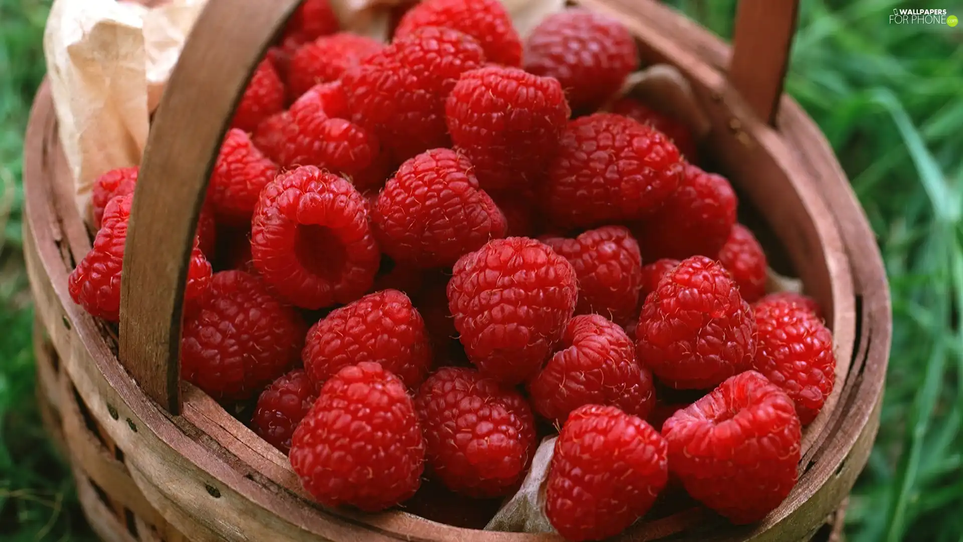 raspberry, basket, buxom