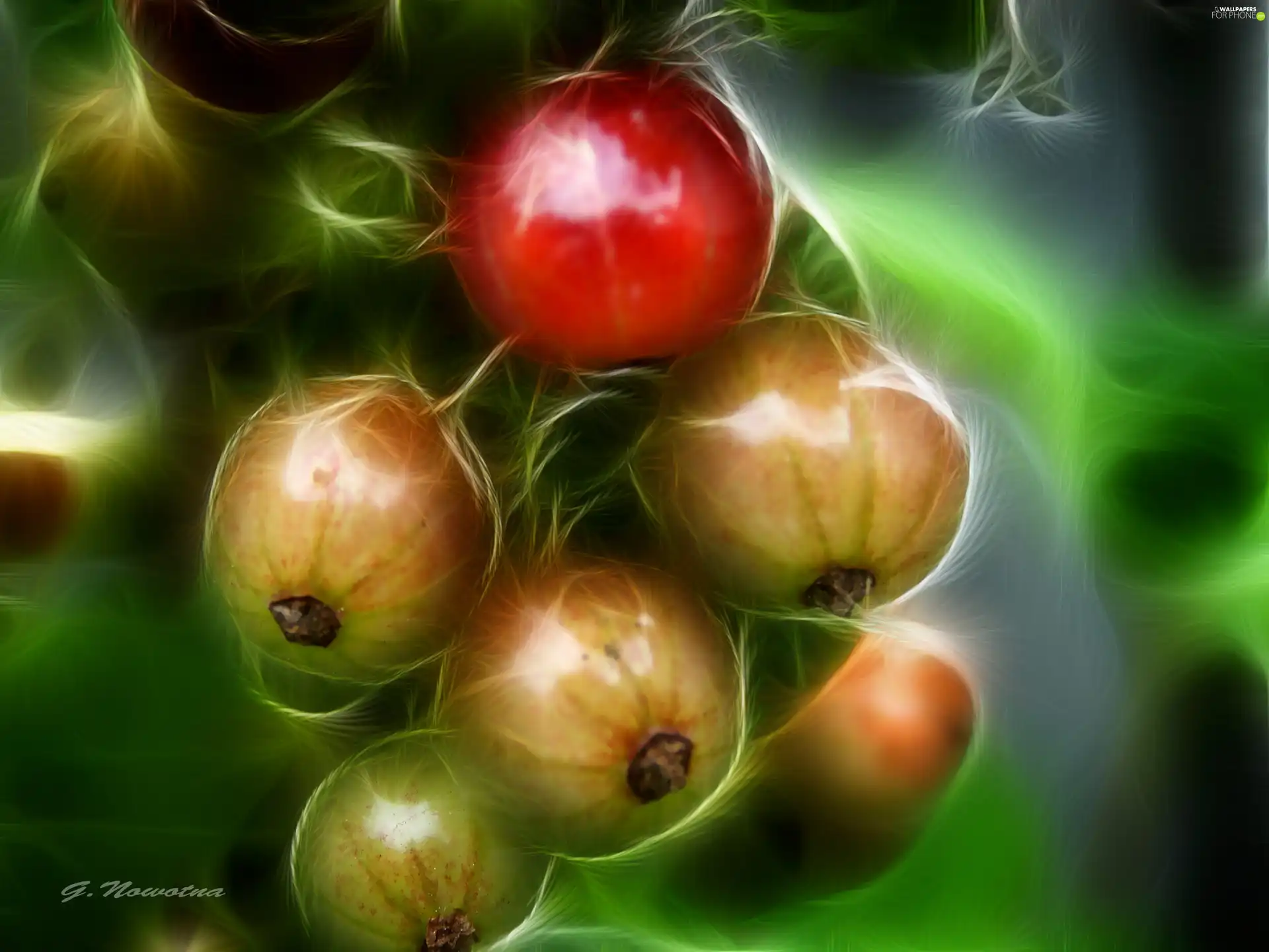 currants, Red
