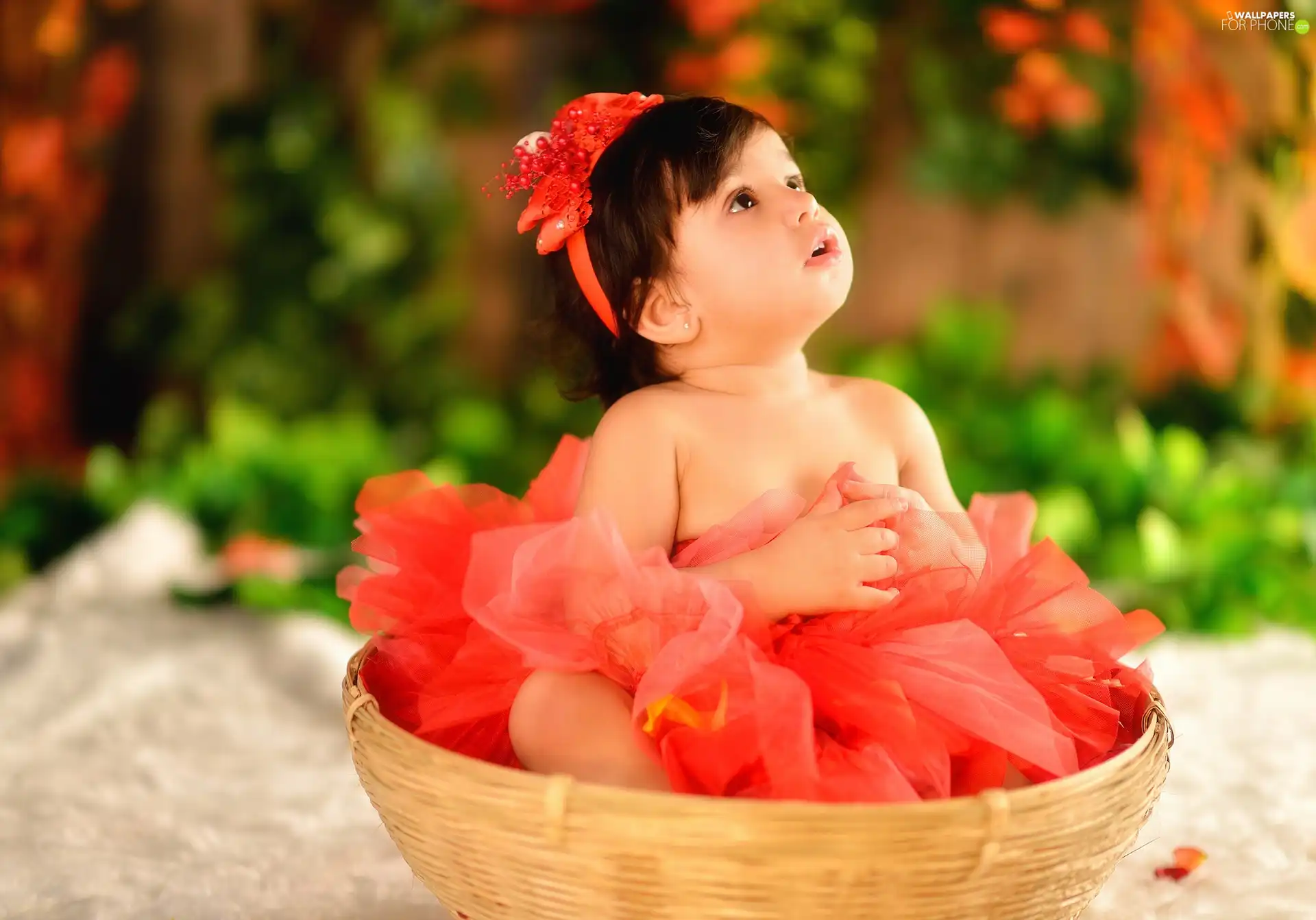 The dress, girl, red hot