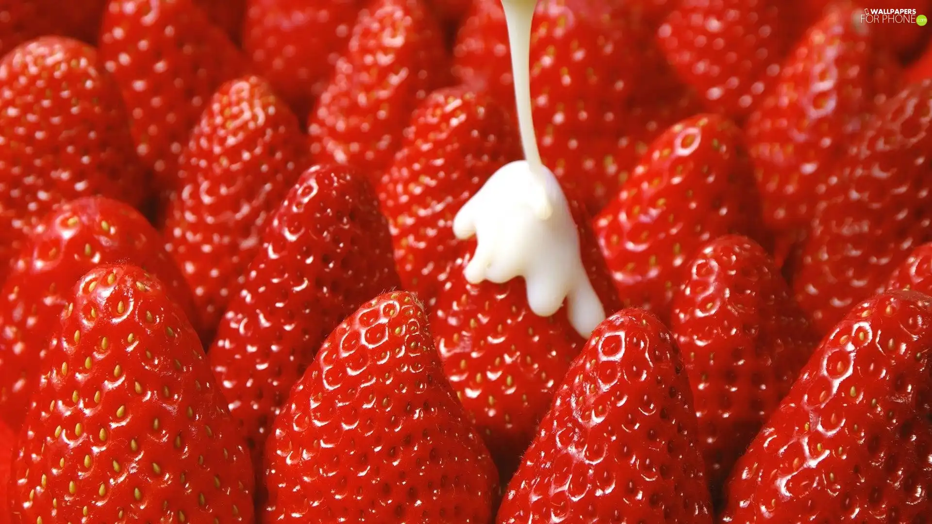 Red, strawberries, icing