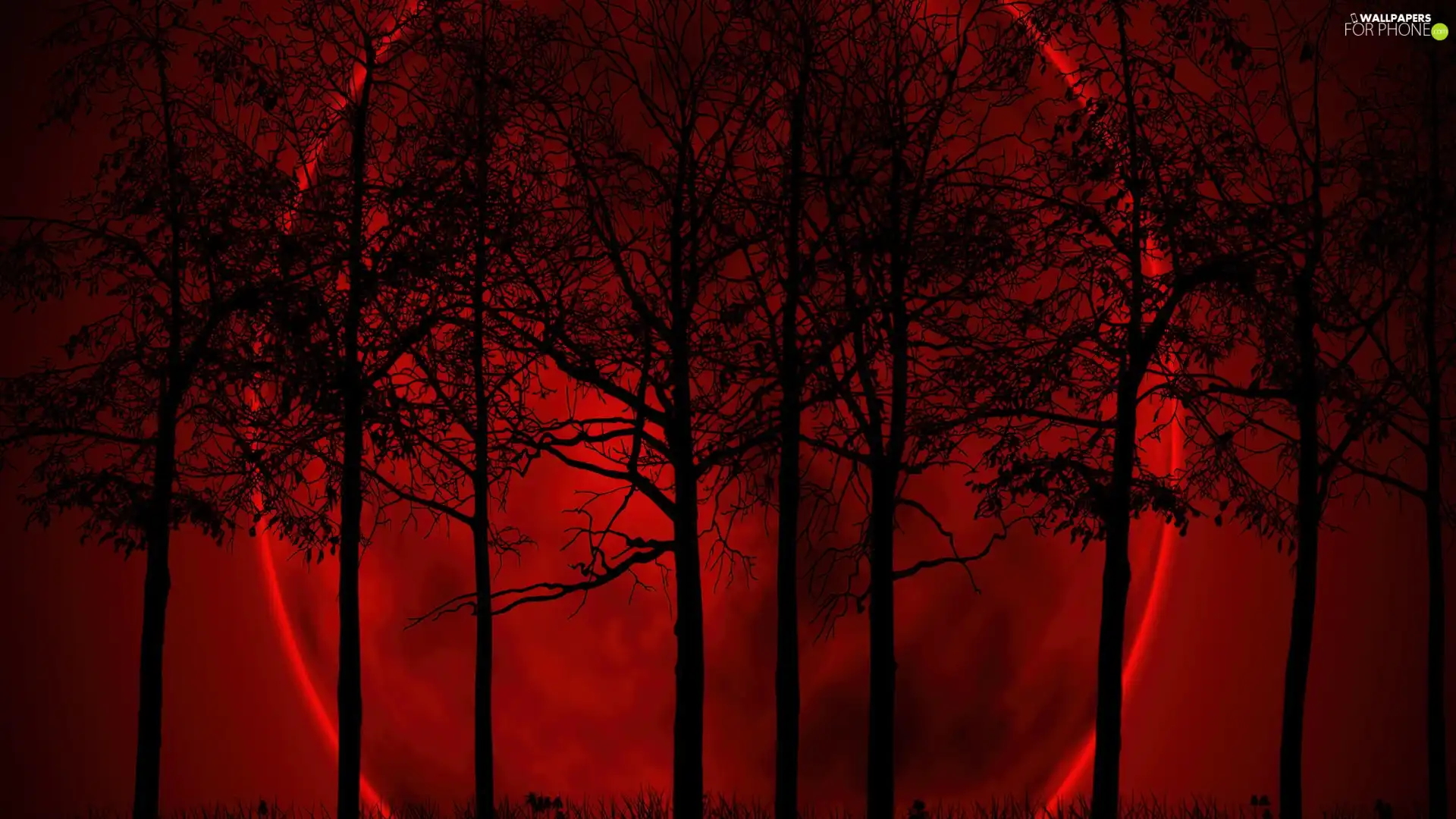 Red, moon, trees, viewes, Night
