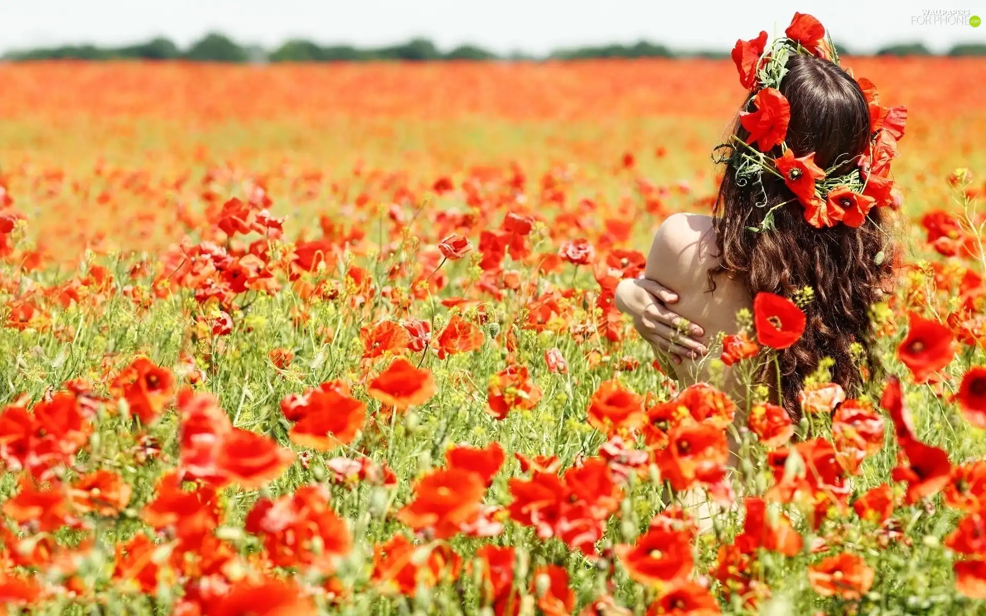 Red, papavers, wreath, Meadow, Women