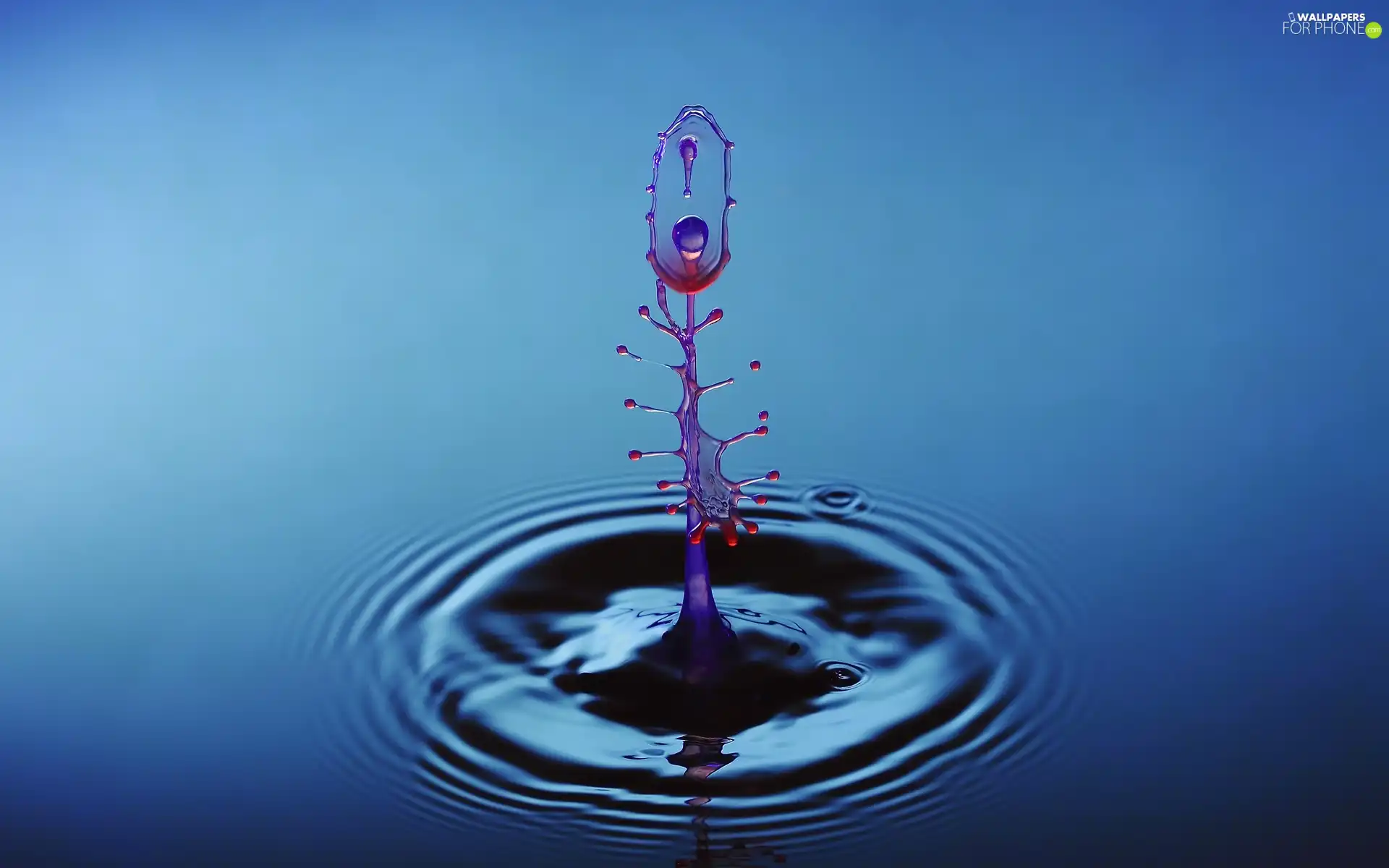 drop, collision, reflection, water
