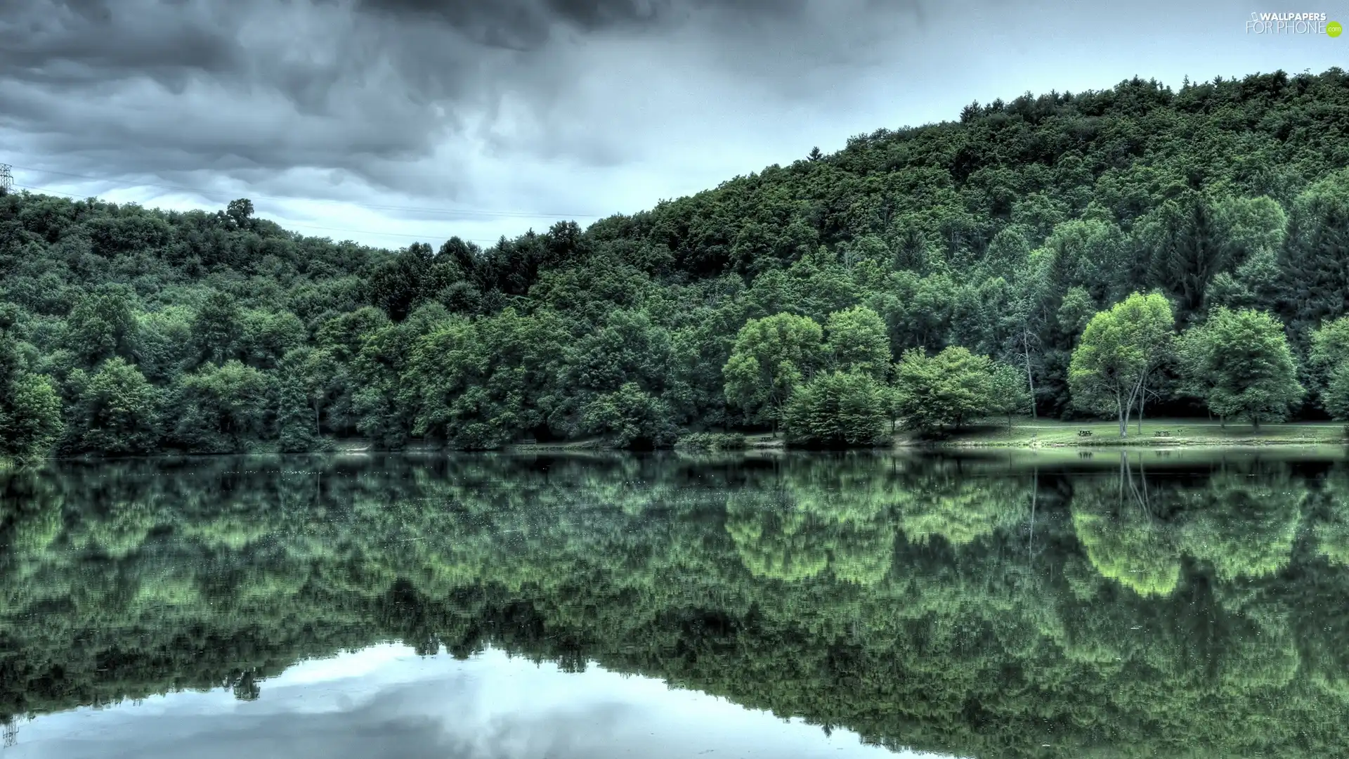 reflection, lake, forest