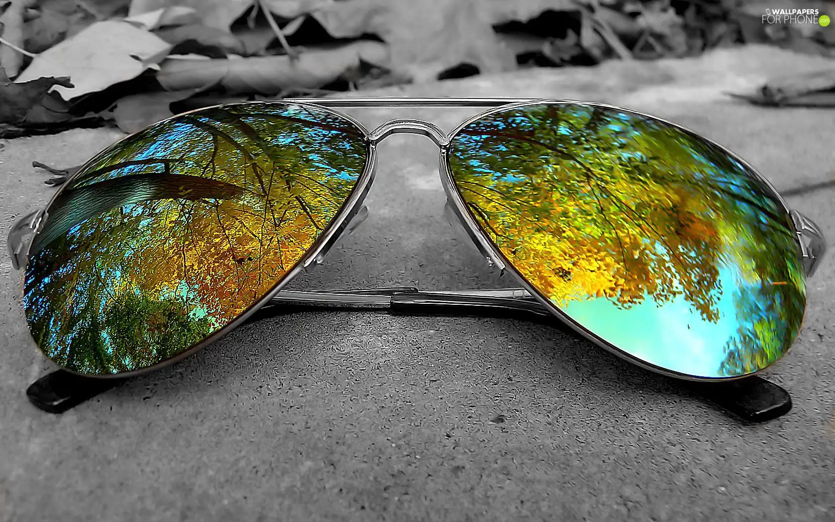 Glasses, reflection