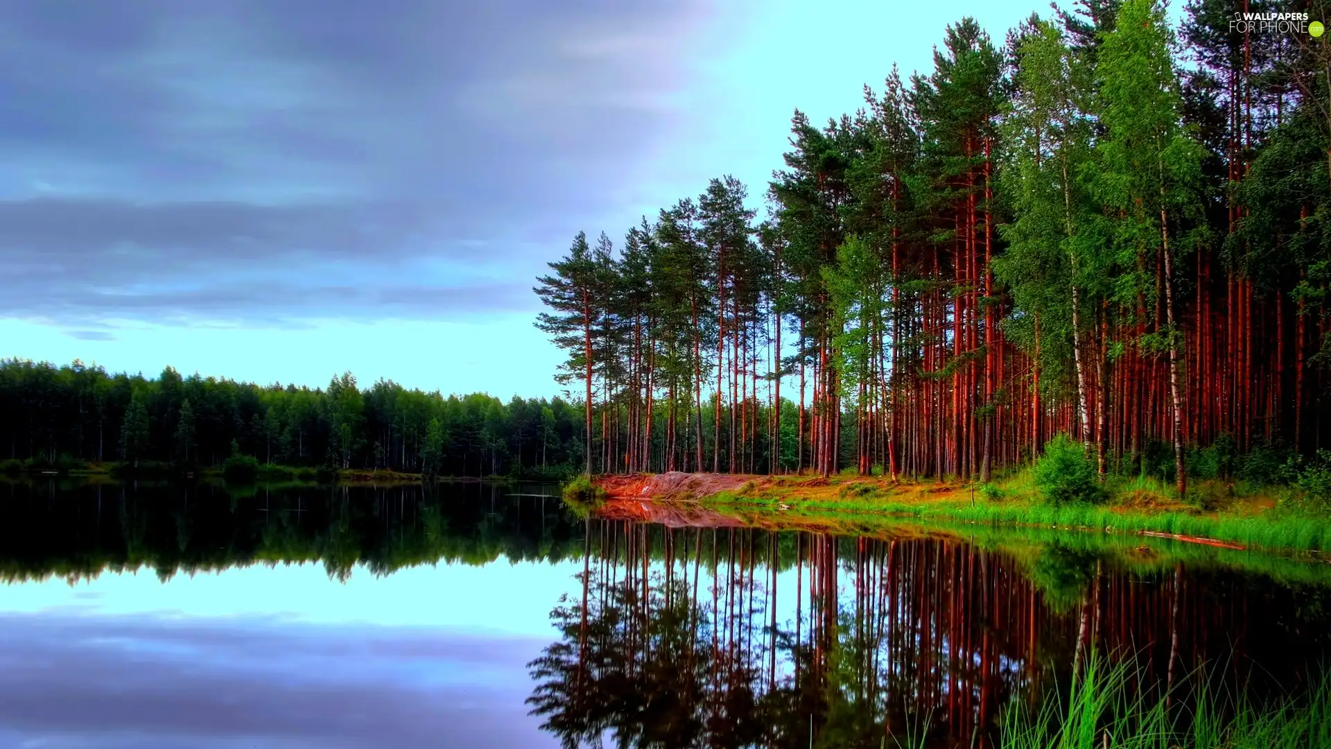 reflection, forest, lake