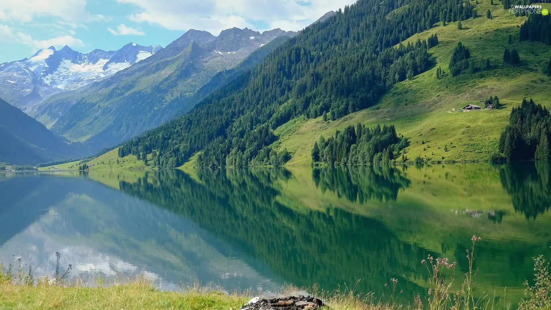 trees, Mountains, grass, reflection, viewes, lake