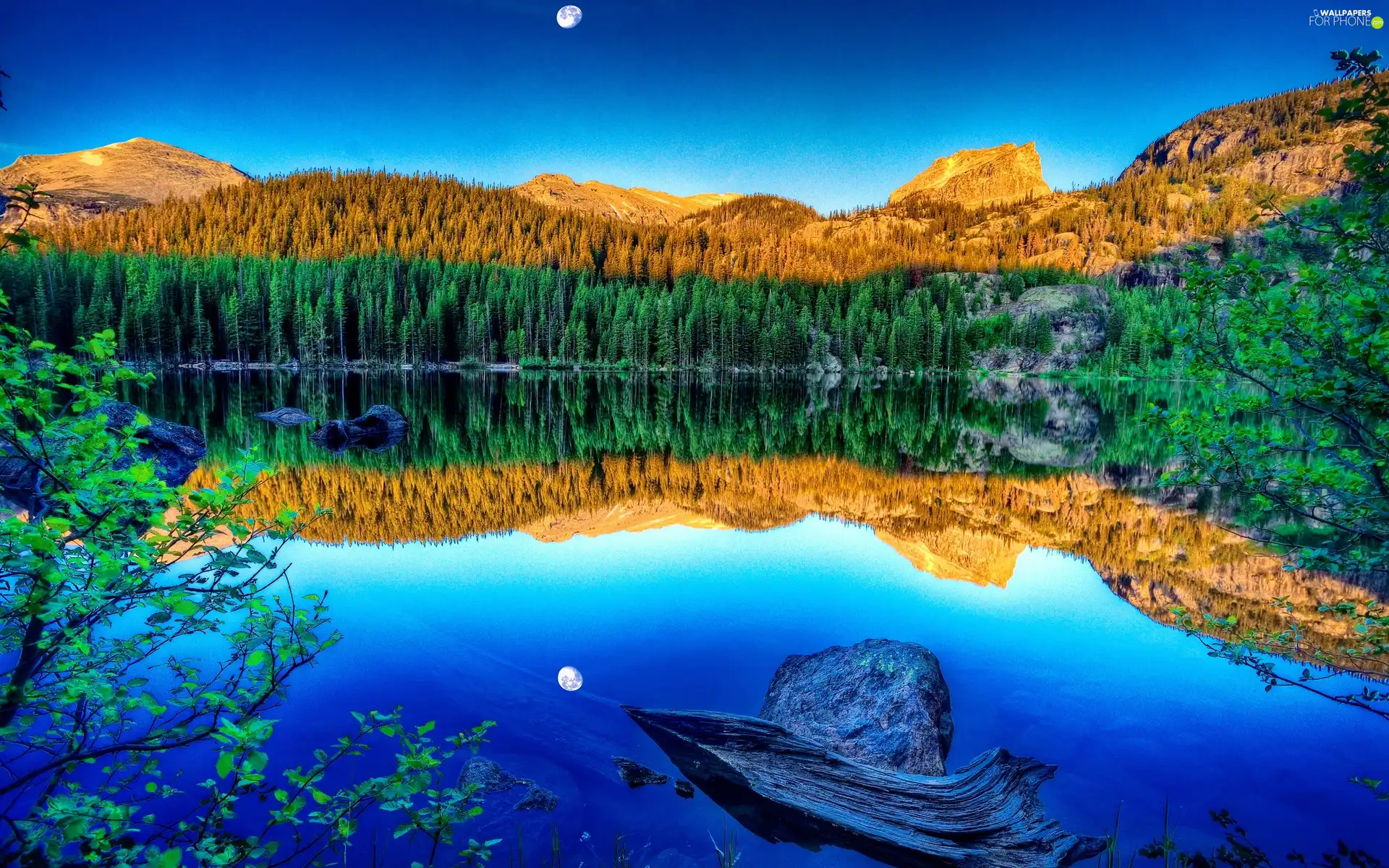 lake, Mountains, reflection, forest
