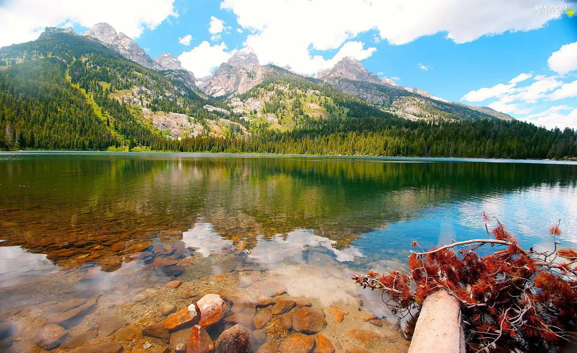 lake, Mountains, reflection, woods