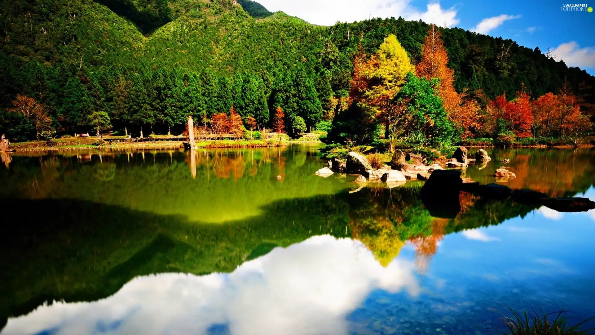 lake, viewes, reflection, trees