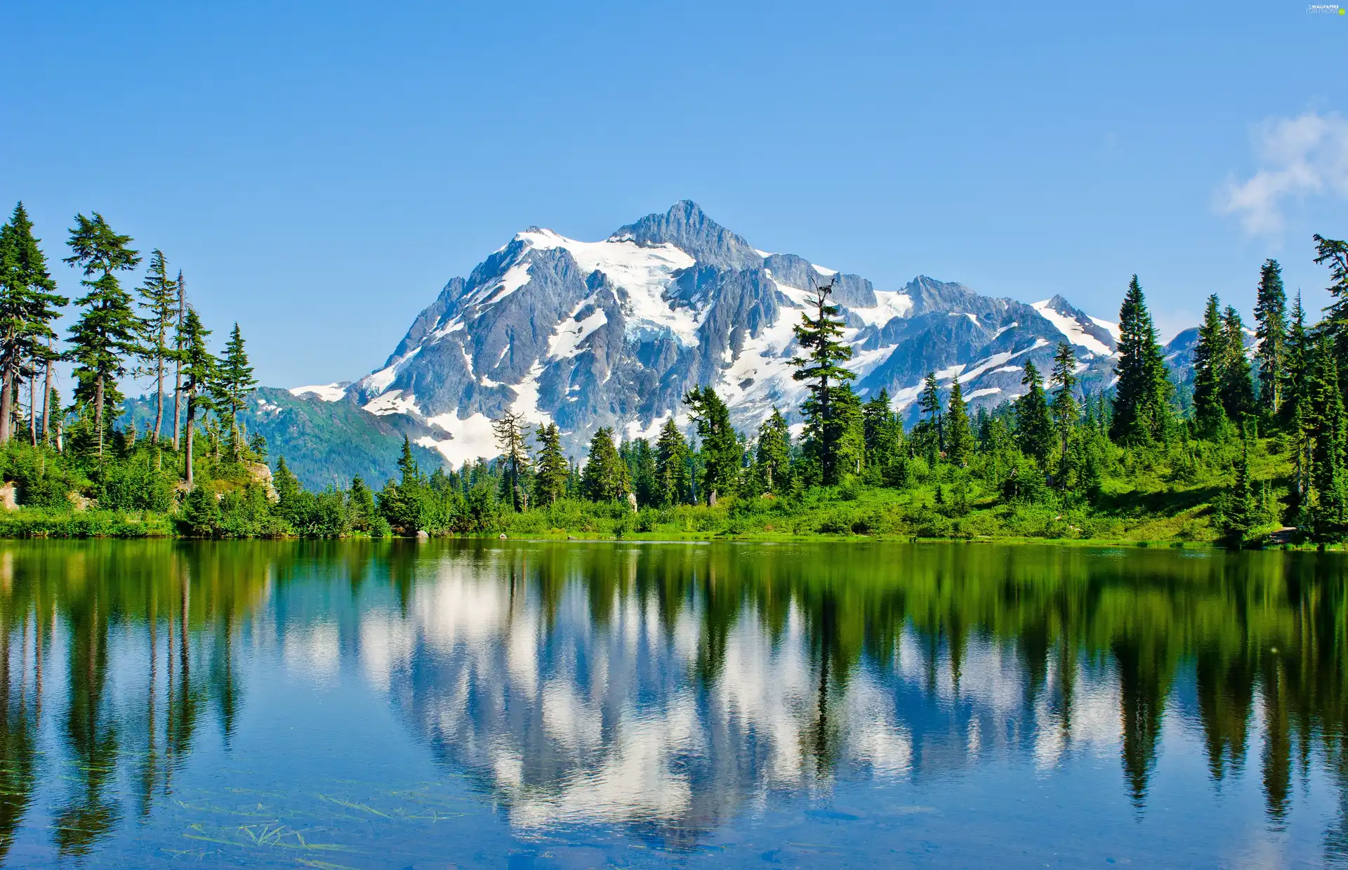 lake, woods, reflection, Mountains