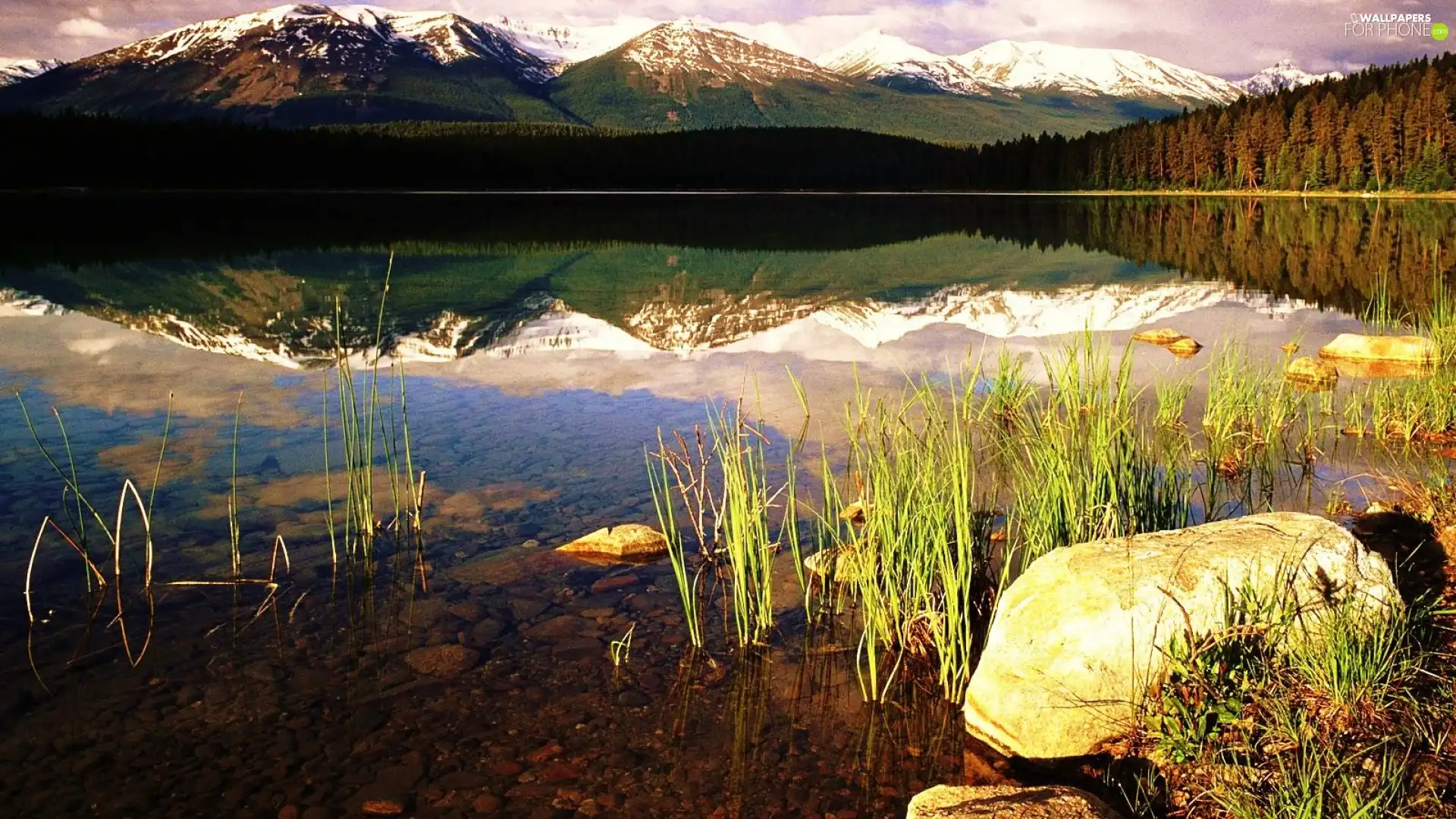 Mountains, forest, reflection, lake