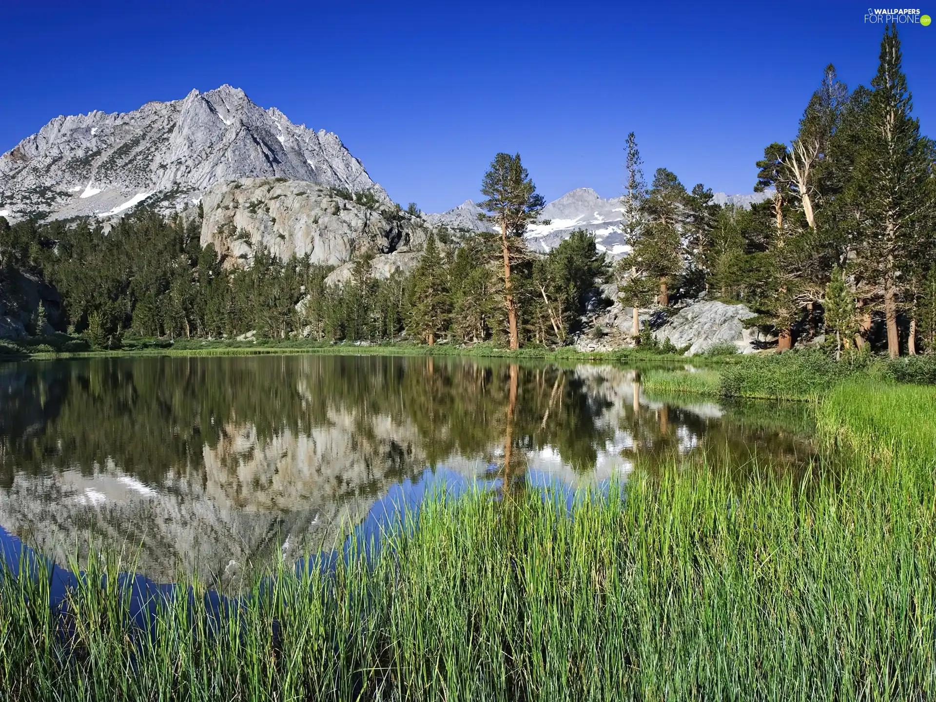 Mountains, grass, reflection, lake