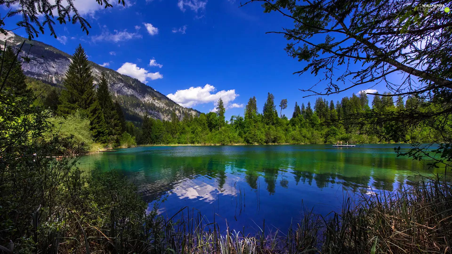 Canton Graubunden, Crestasee Lake, Switzerland, Mountains, reflection, Sky, viewes, Bush, trees