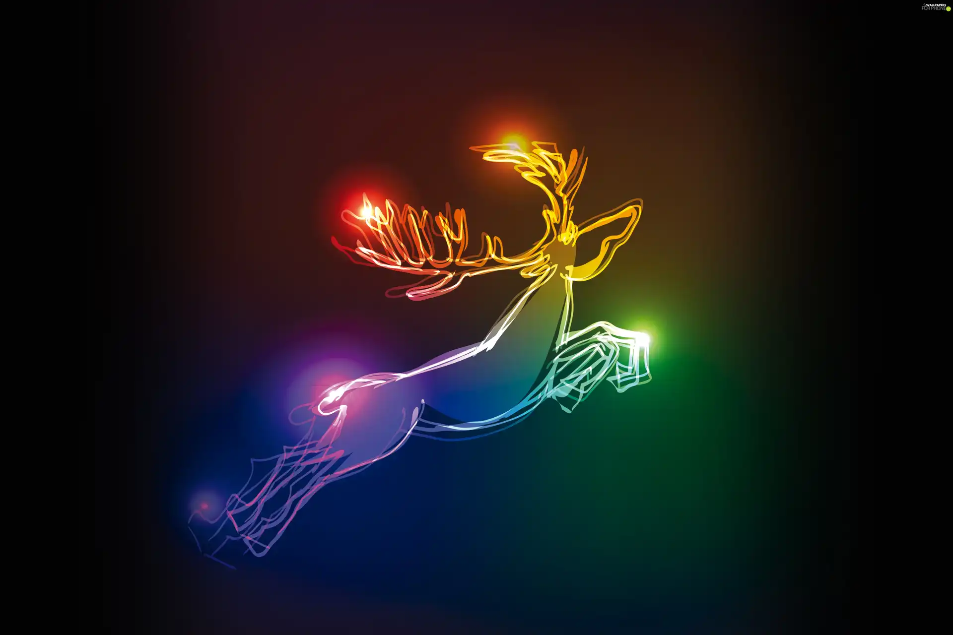 color, reindeer