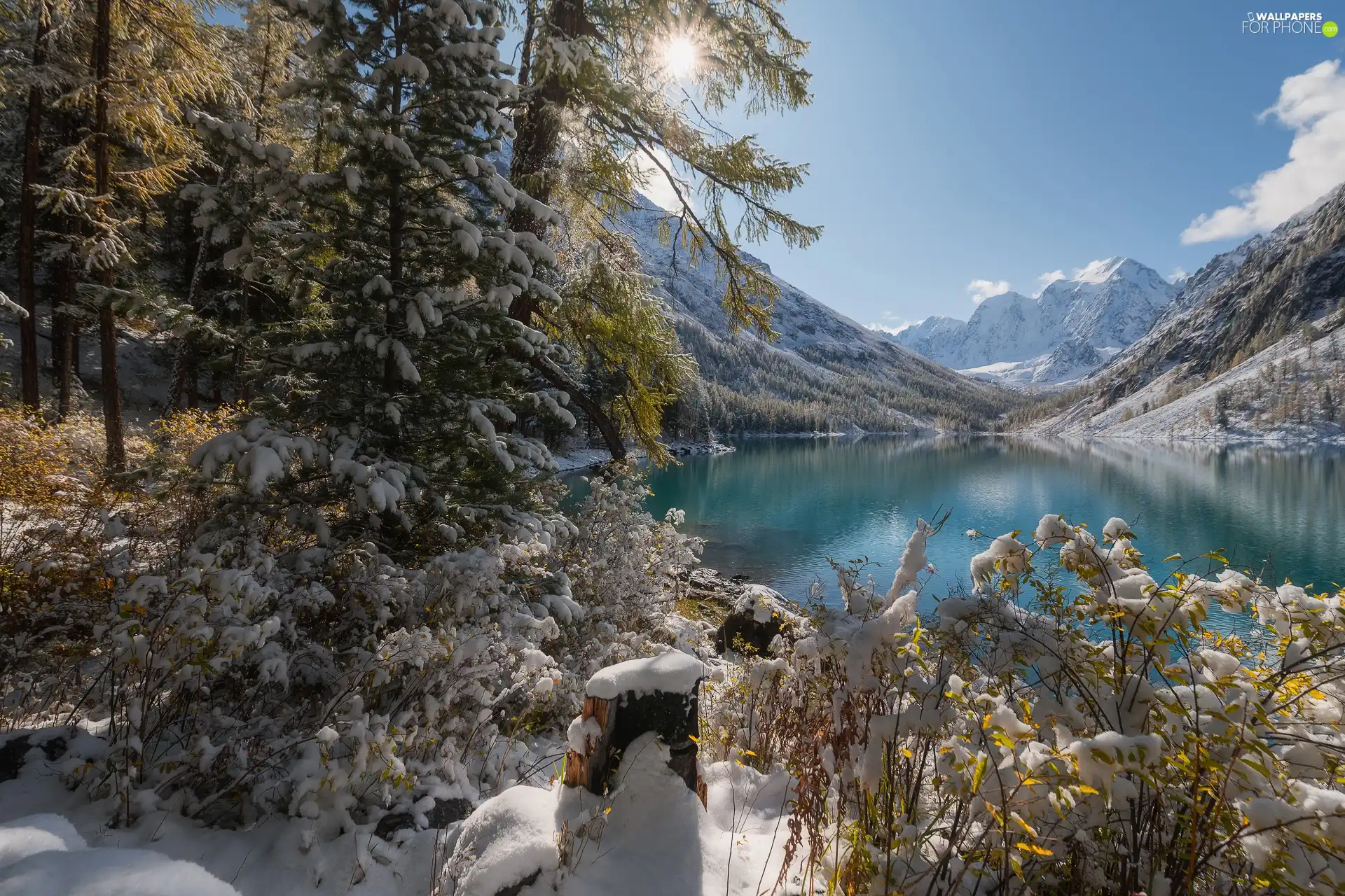 viewes, snow, Russia, Szawlinskie Lake, Altai Republic, trees, winter, Altai Mountains