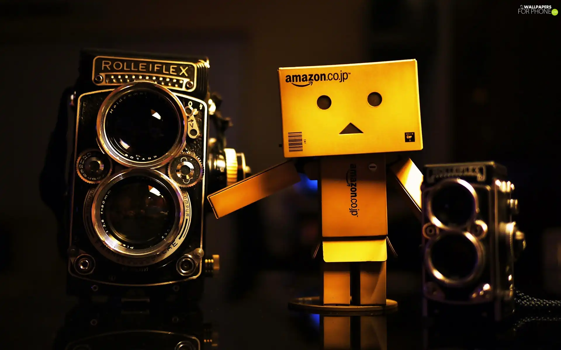 photographic, Danbo, Retro, blur, Rolleiflex, Cameras