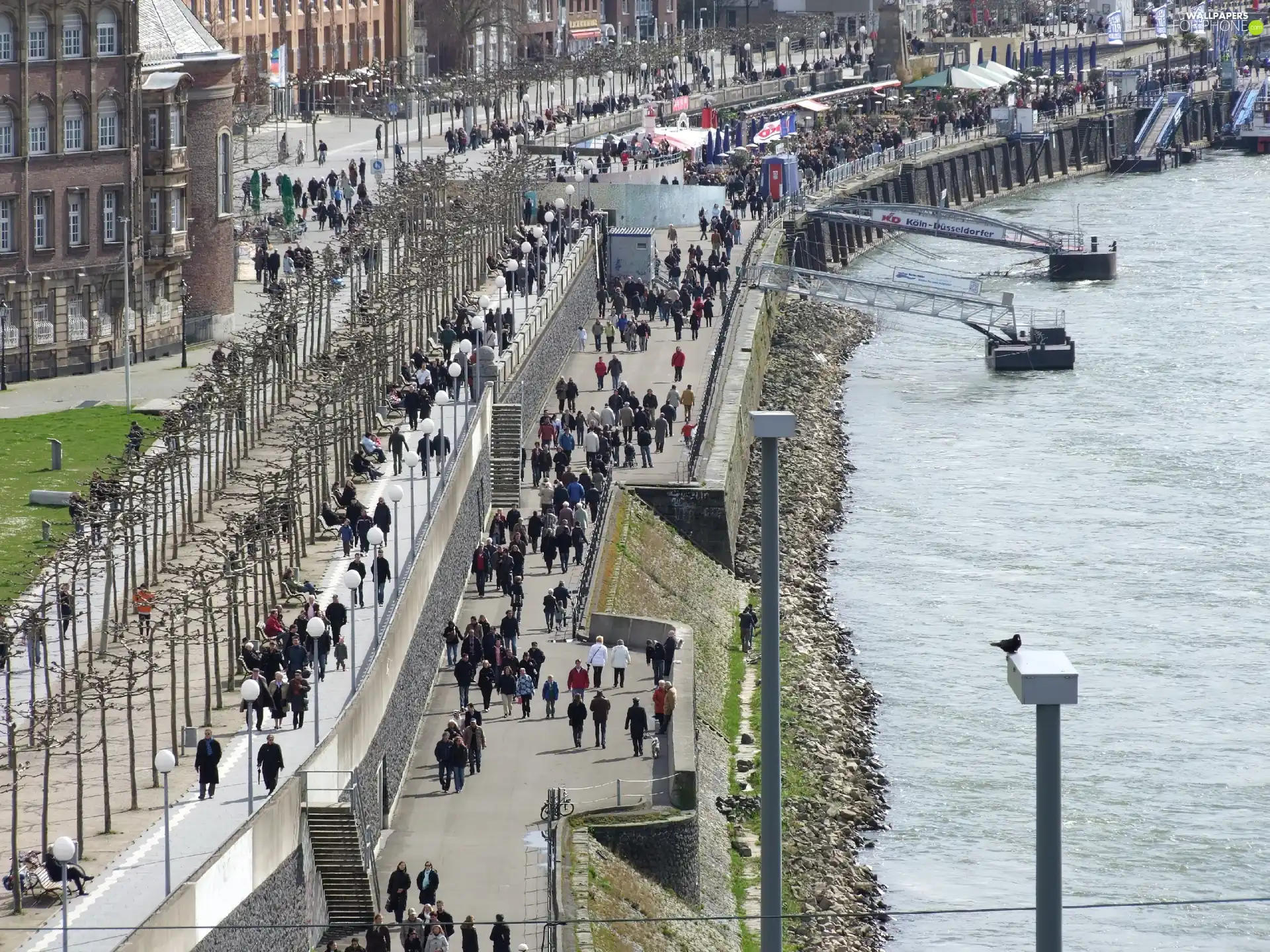 Dusseldorf, along, Rhine, promenade