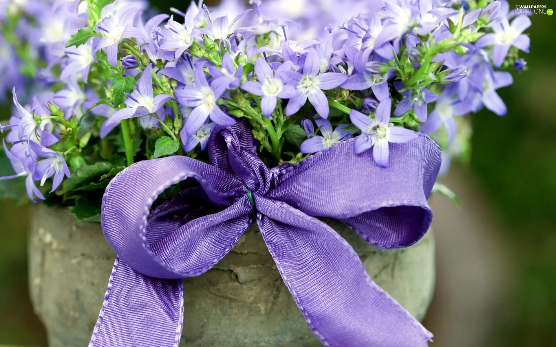 bouquet, flowers, ribbon, Blue