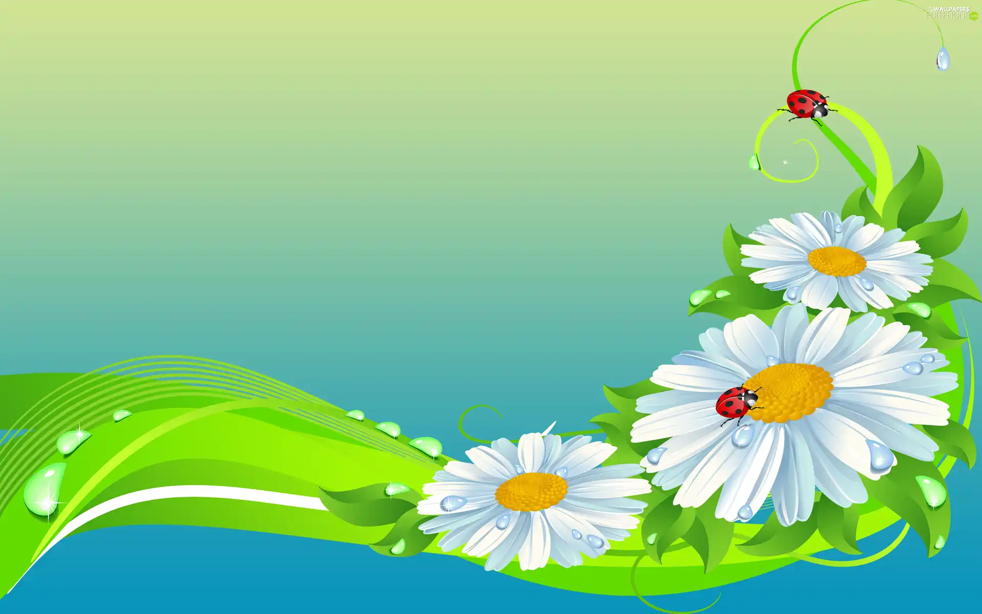 ribbon, graphics, daisies, ladybird, Flowers