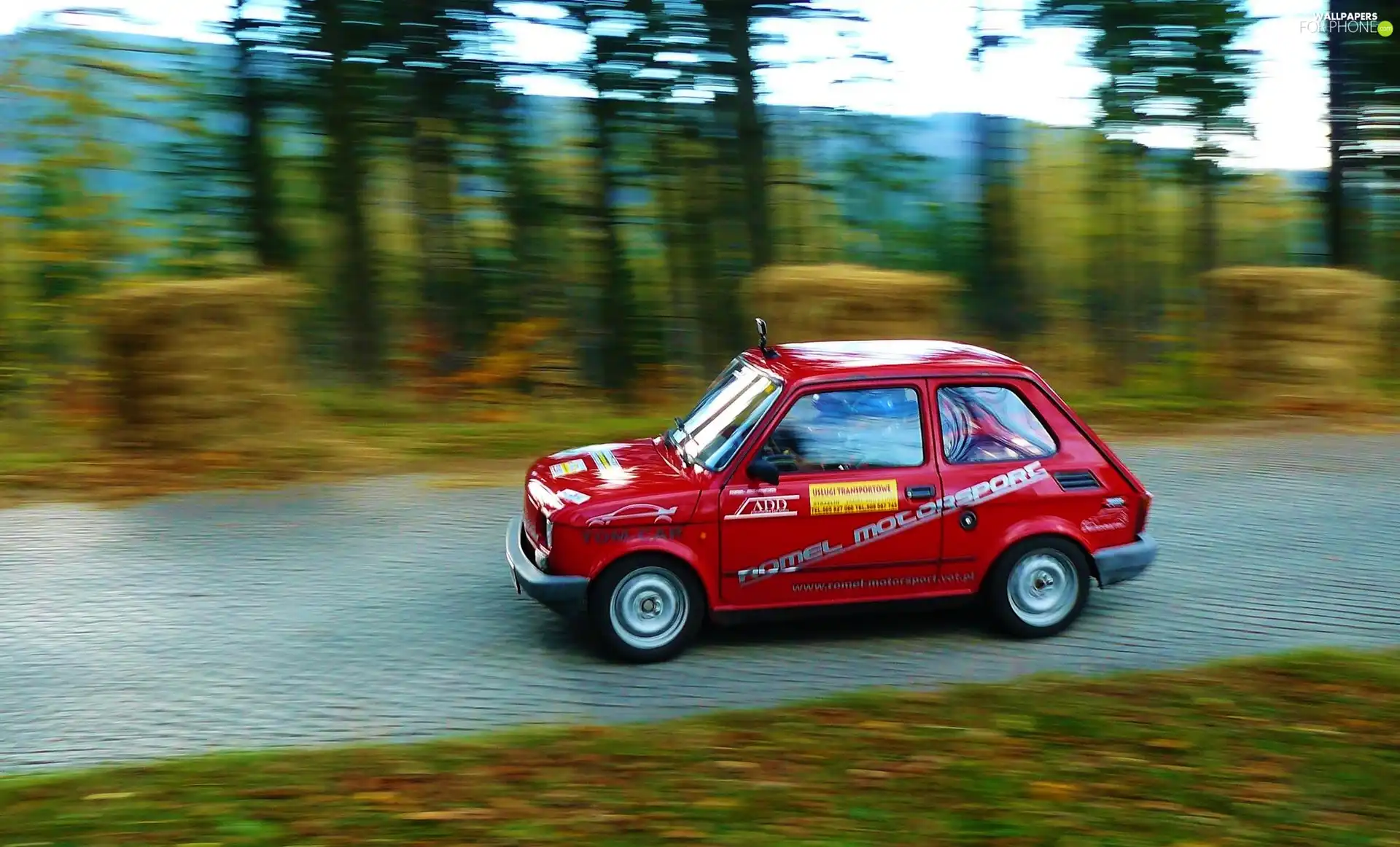 ride, Fiat, Red