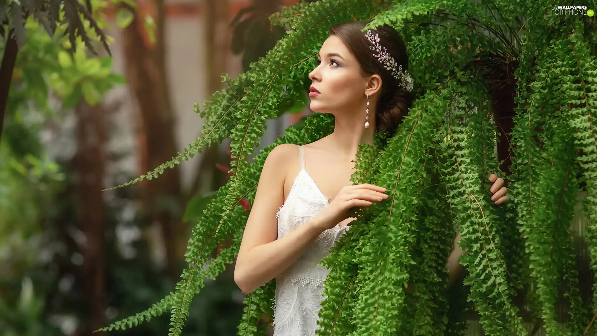 dress, fern, ear-ring, White, Women