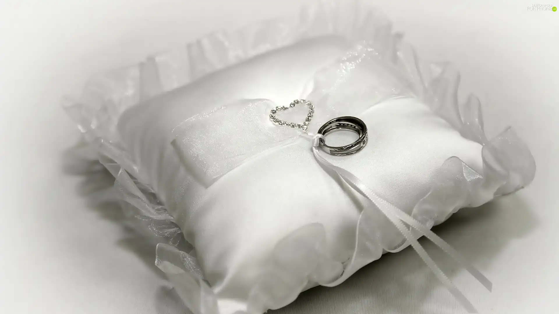 Pillow, Silver, rings, Heart teddybear