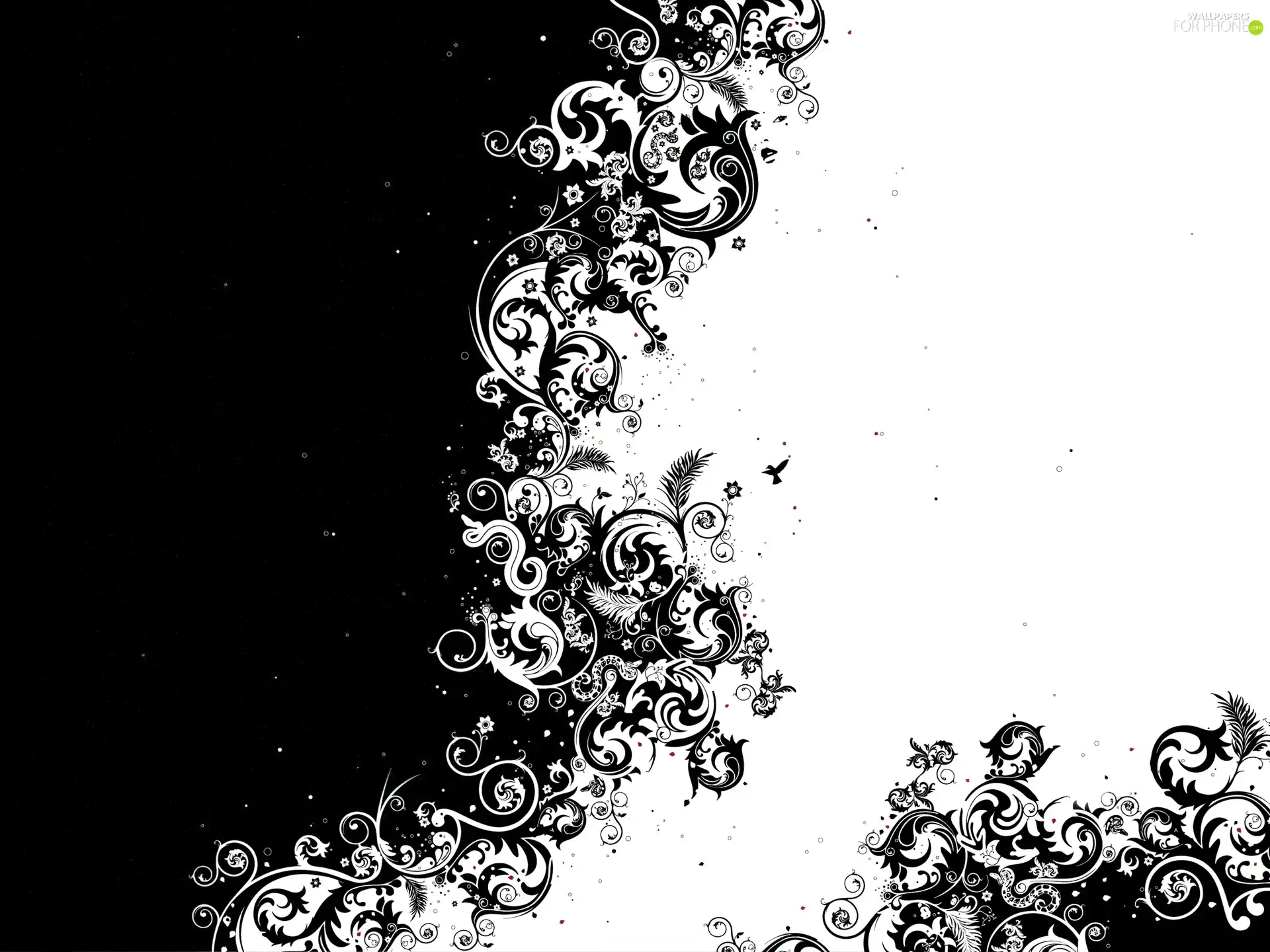rings, texture, White, broken, Black