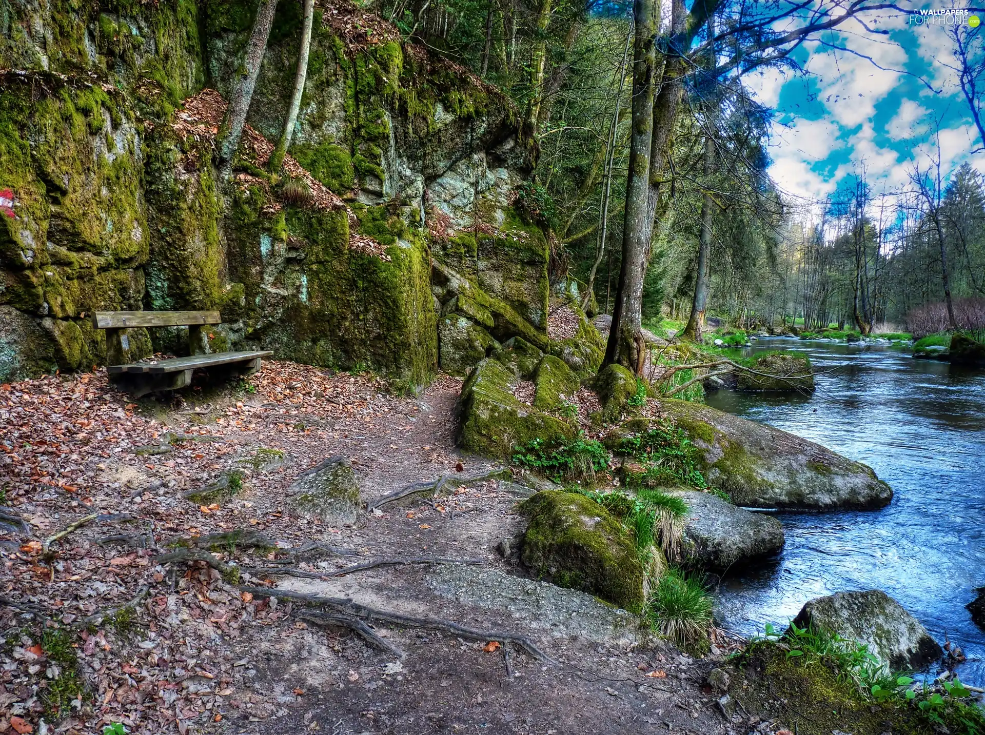 River, Bench, rocks, forest, clouds