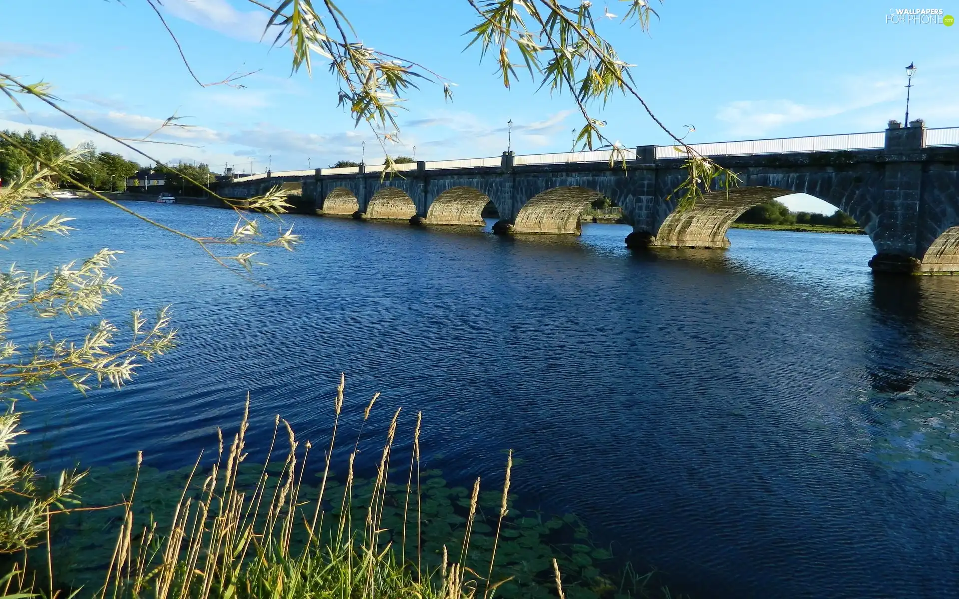 bridge, River