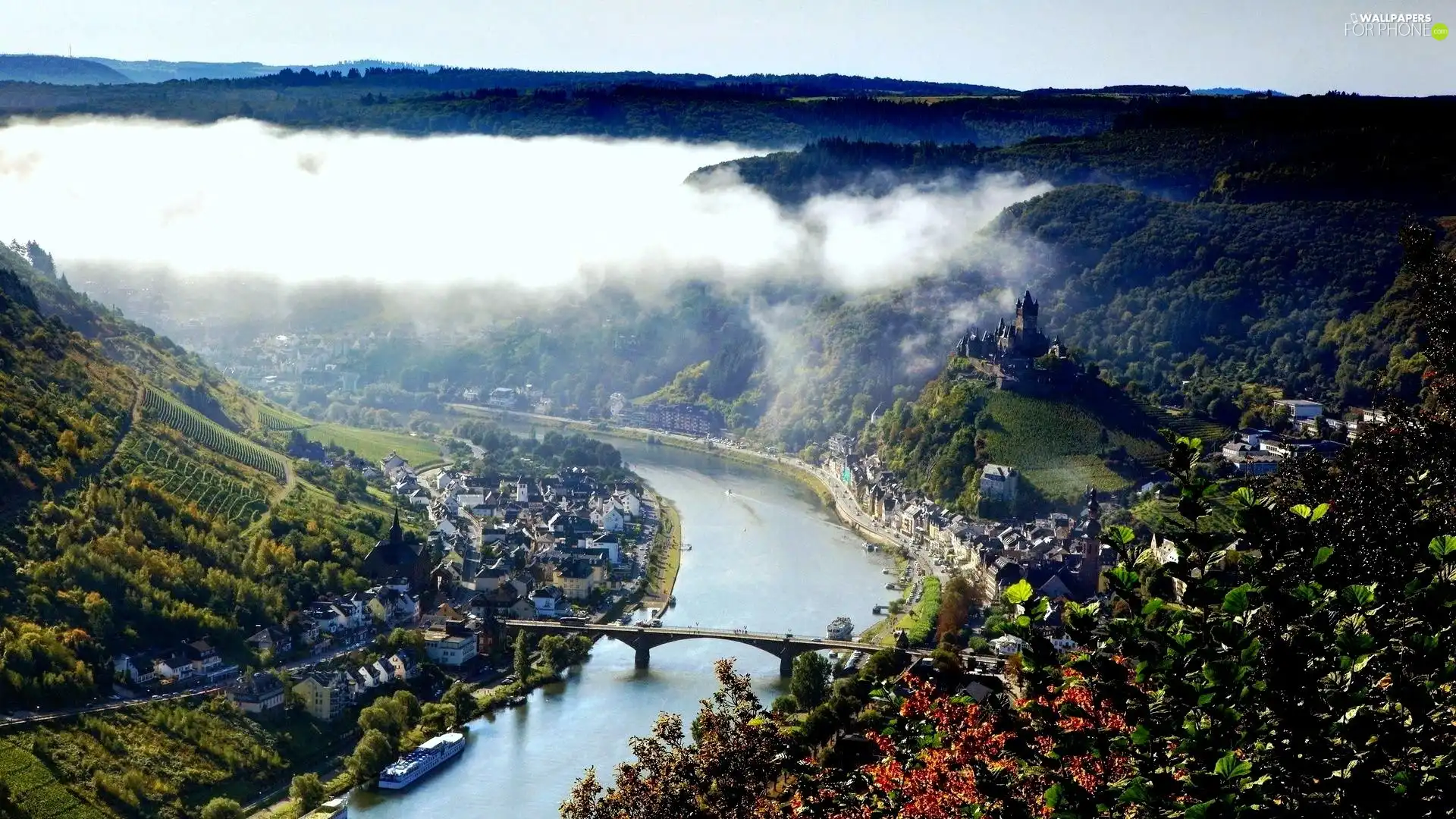 River, forest, Fog