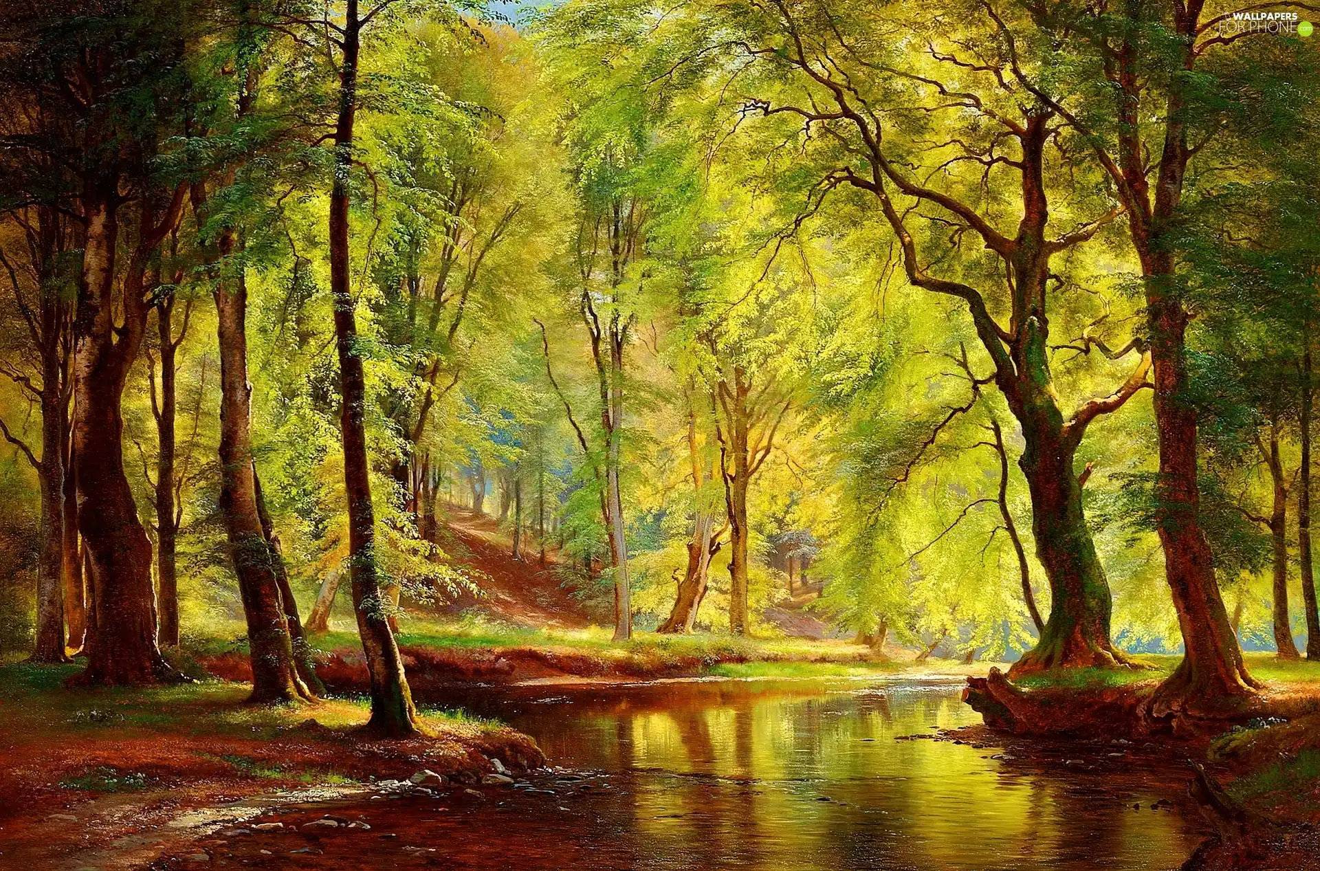 forest, River