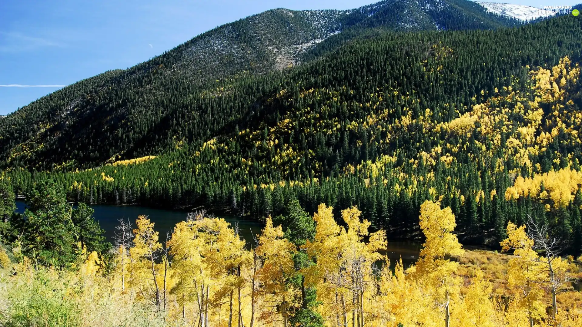 River, Mountains, forest