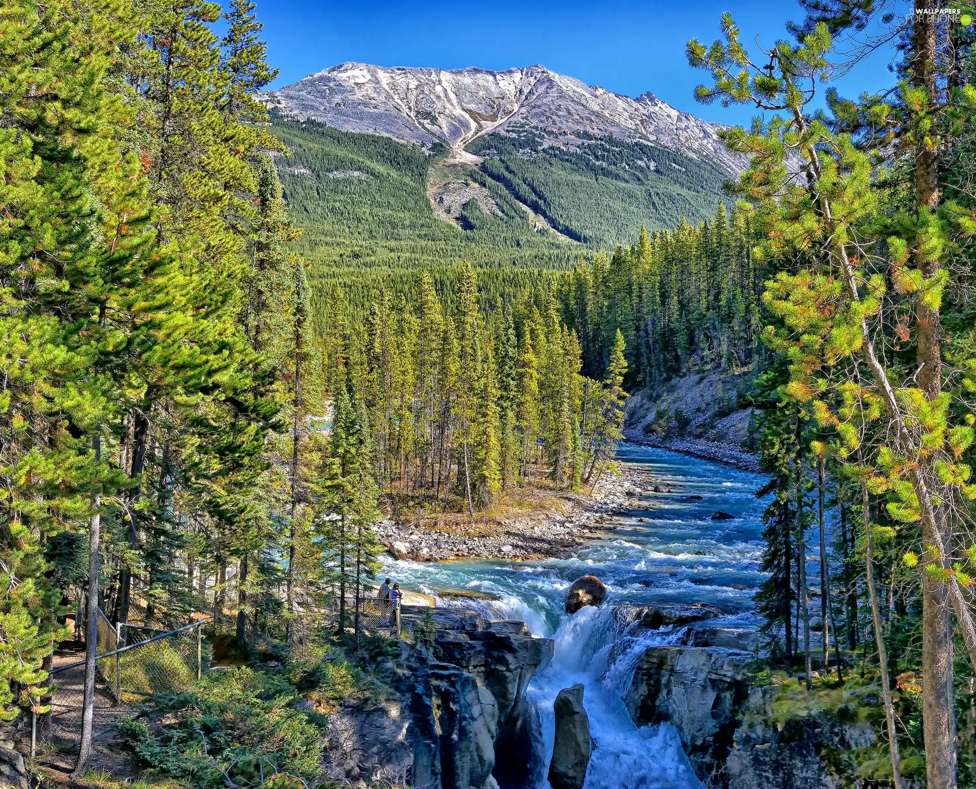 River, rocks, forest