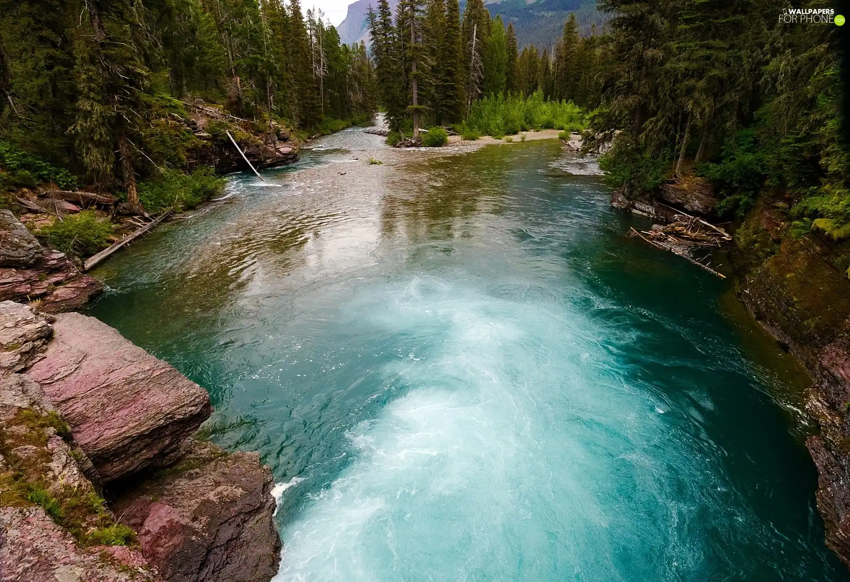 forest, tear, River, rocks