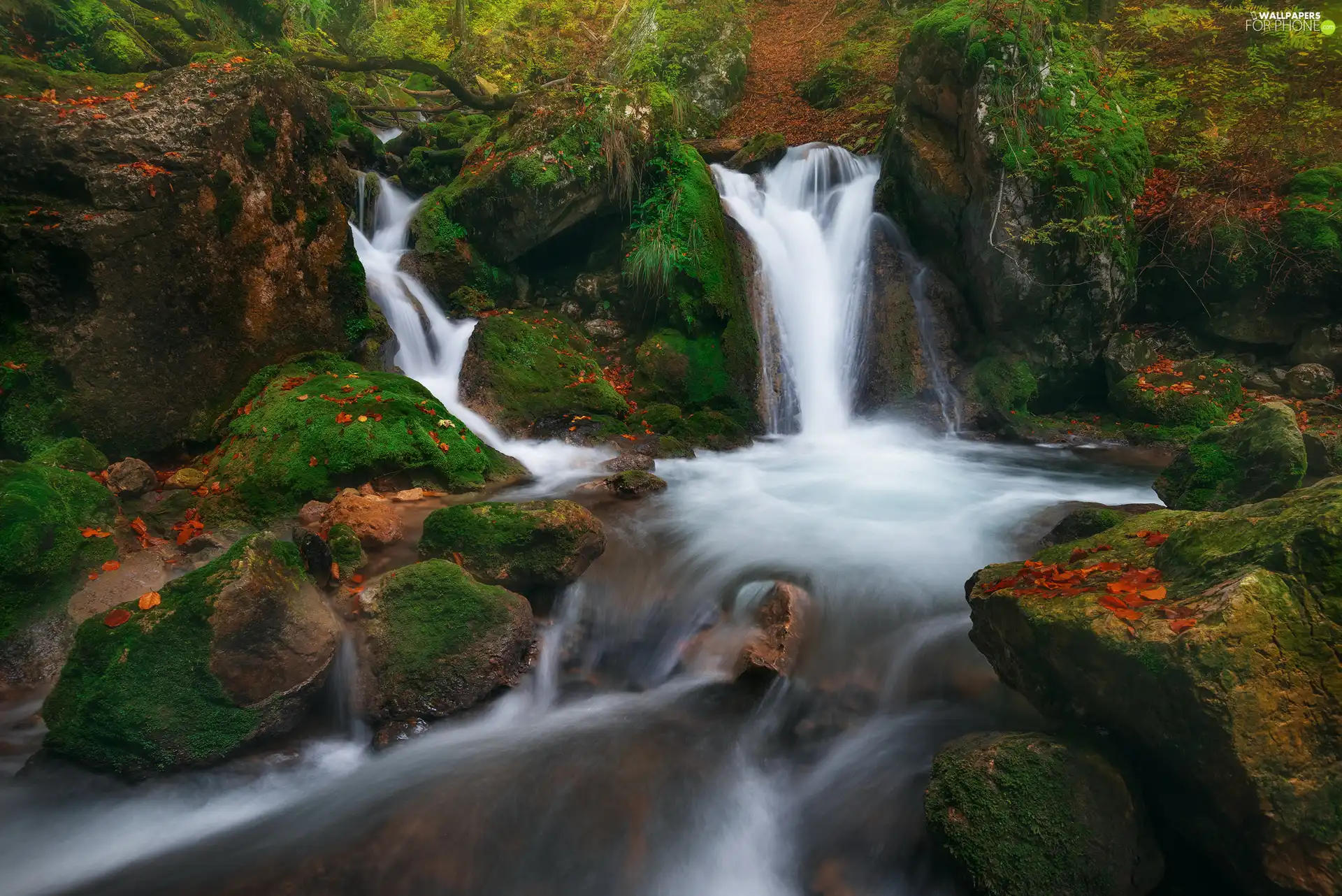 Stones, River, mossy, rocks, waterfall